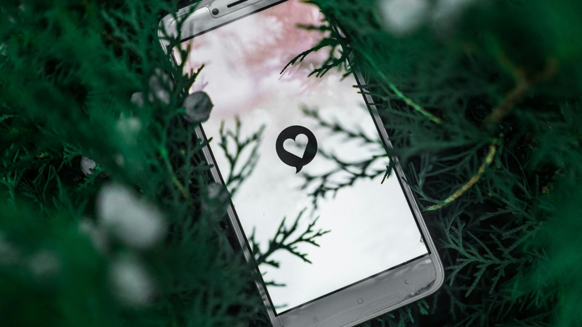 white smartphone on green grass