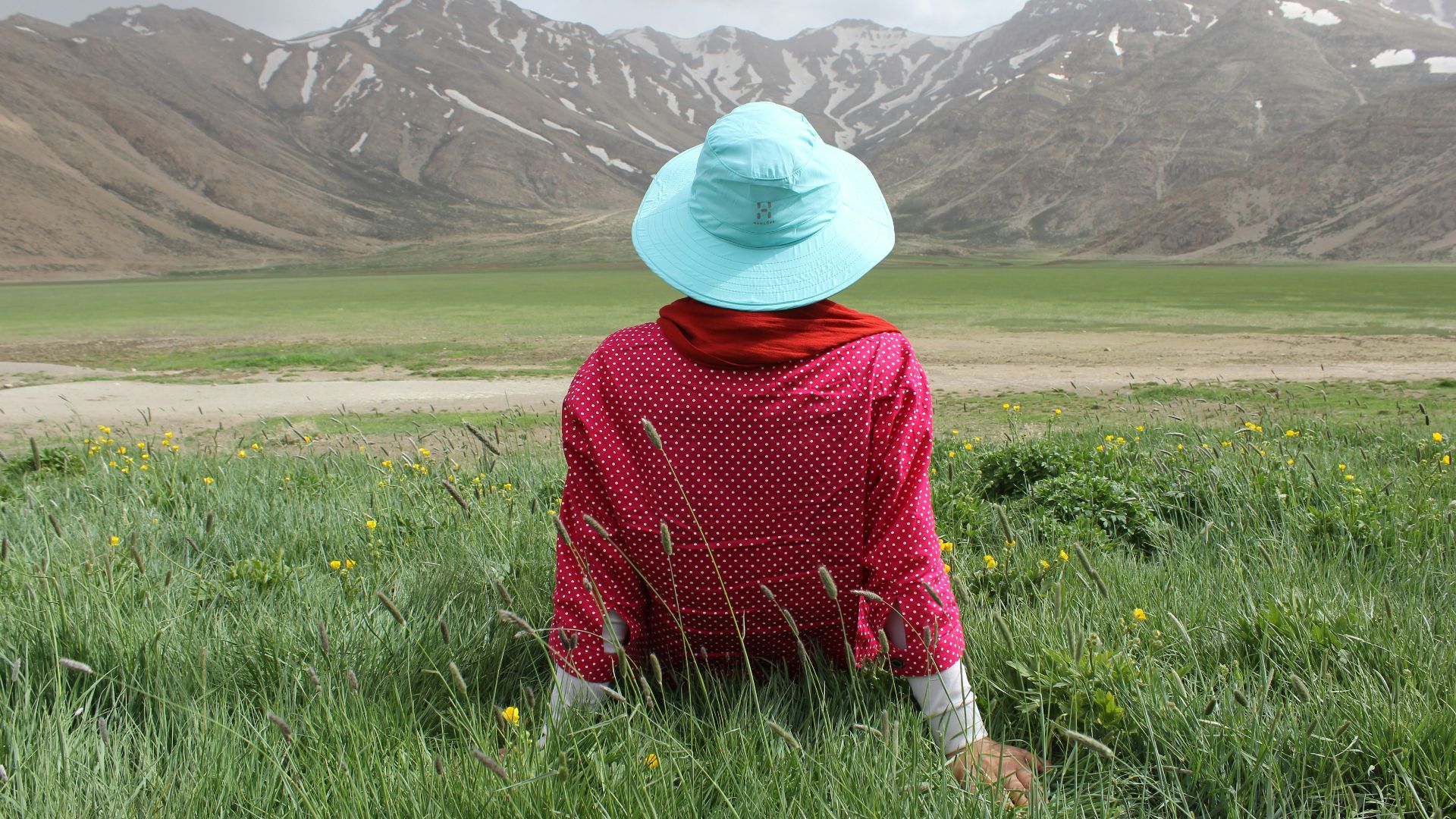 person sitting in green grass lawn