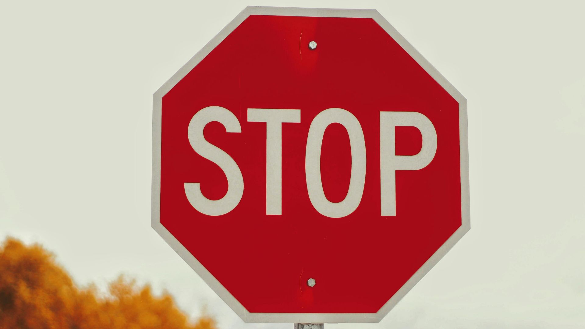 selective-photography of stop signage