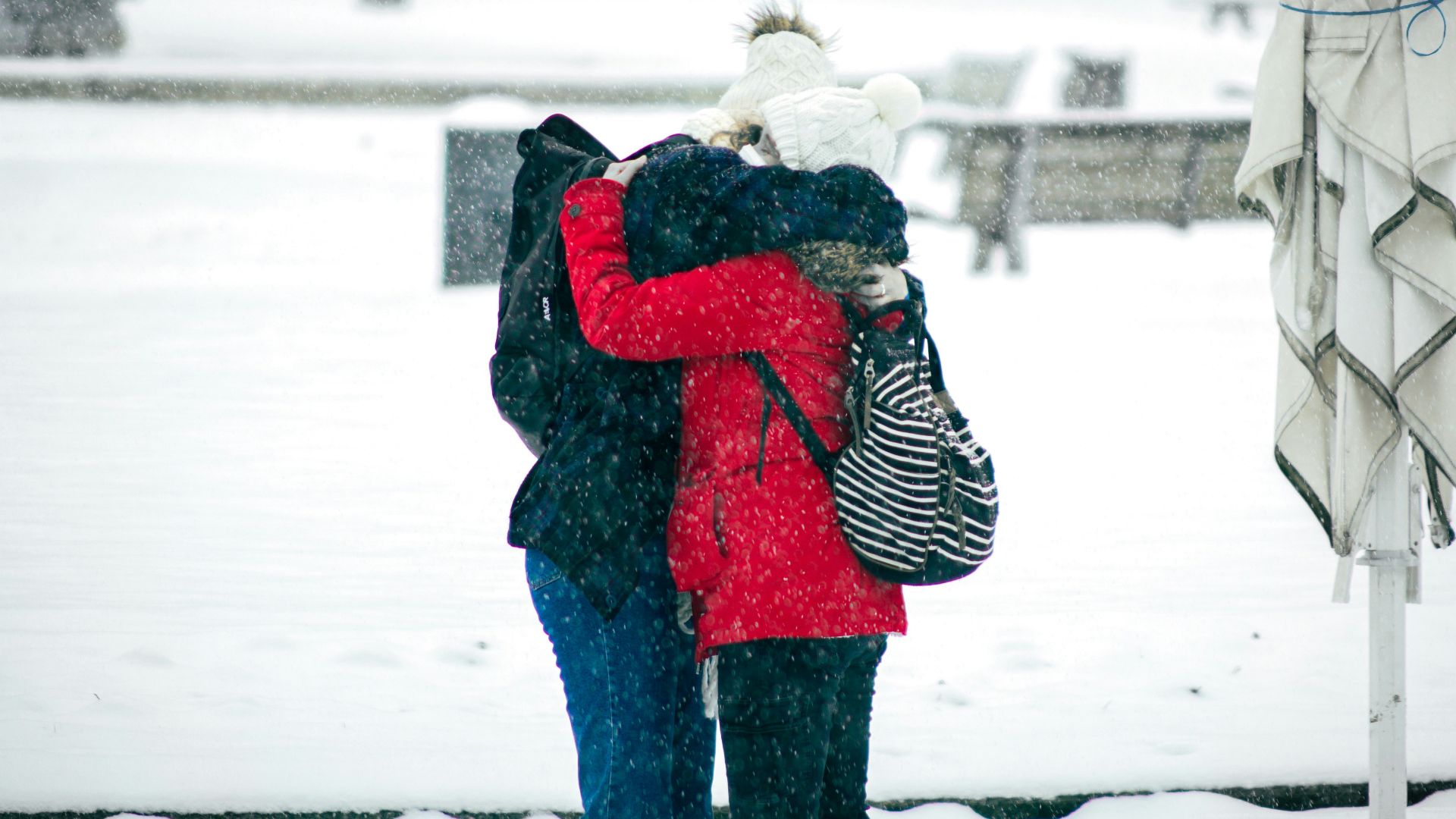 person in red and black jacket and black pants carrying white dog on snow covered ground