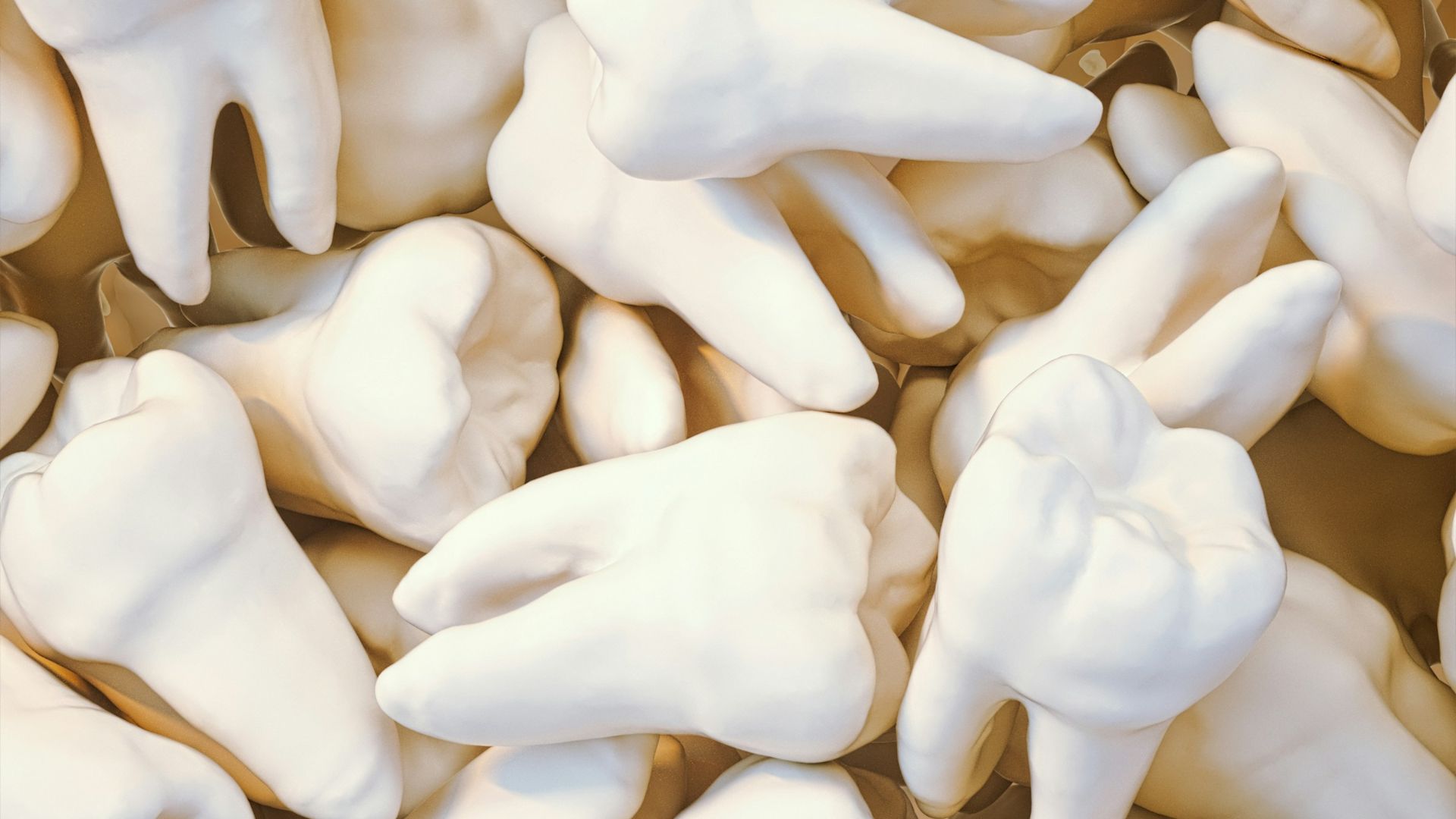 white flower petals on white textile