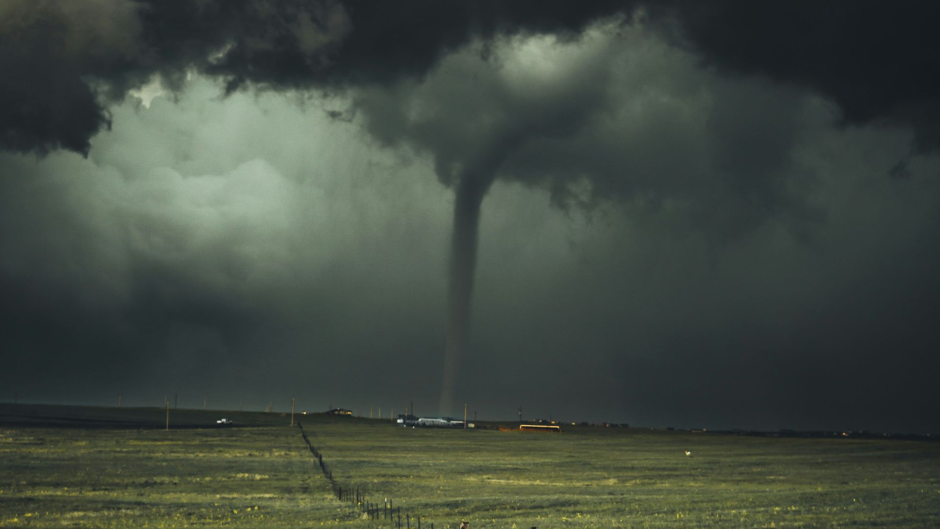 storm near leafed plants