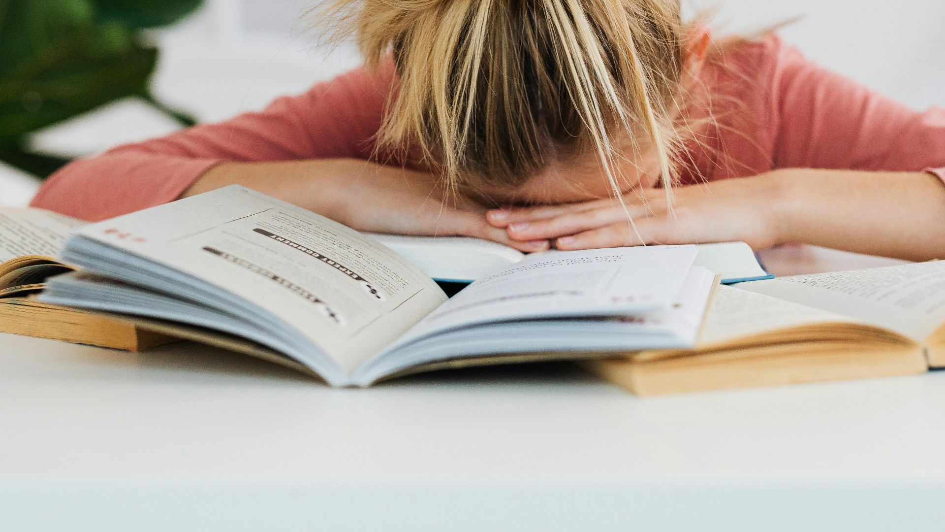 Photo By: Kaboompics.com