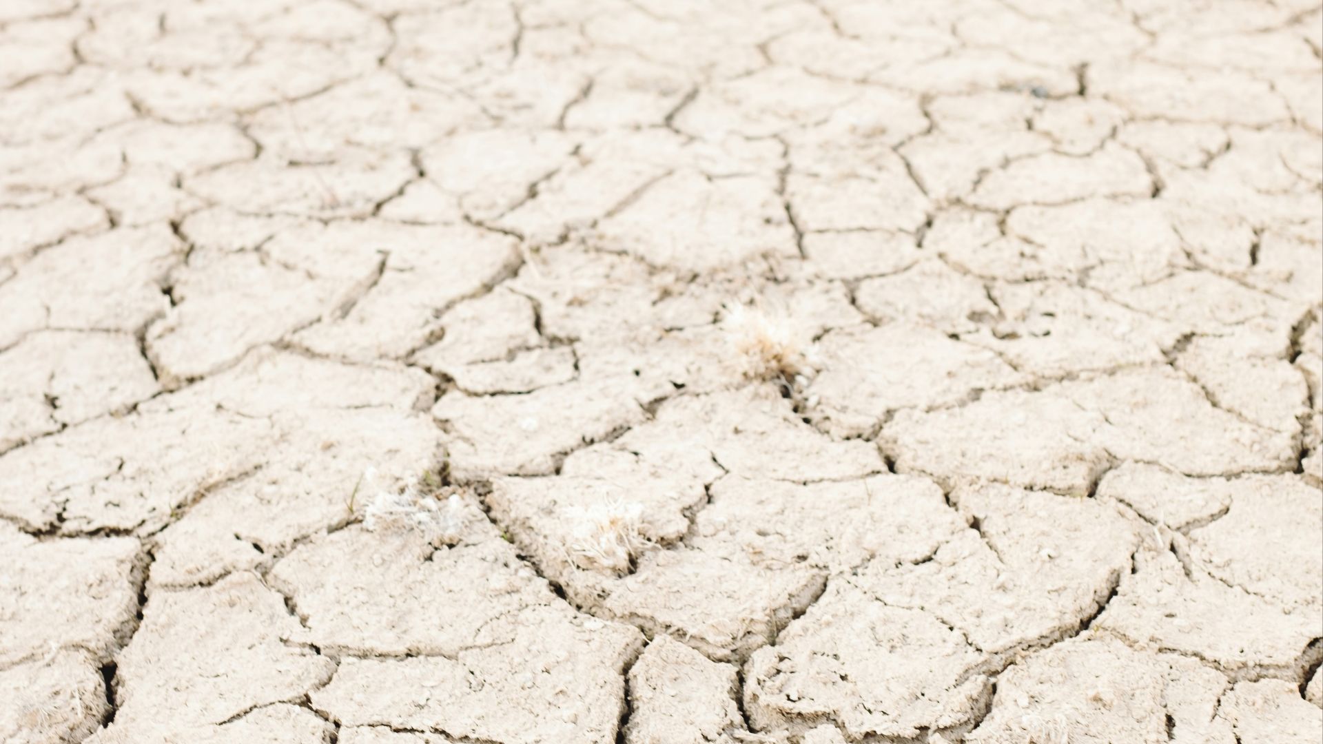white sand with heart shaped