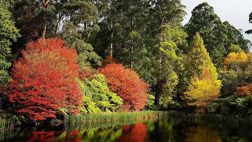 1024Px-The Dandenong Ranges Botanic Garden