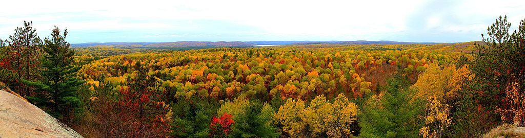 1024Px-Algonquin - Panoramio (1)