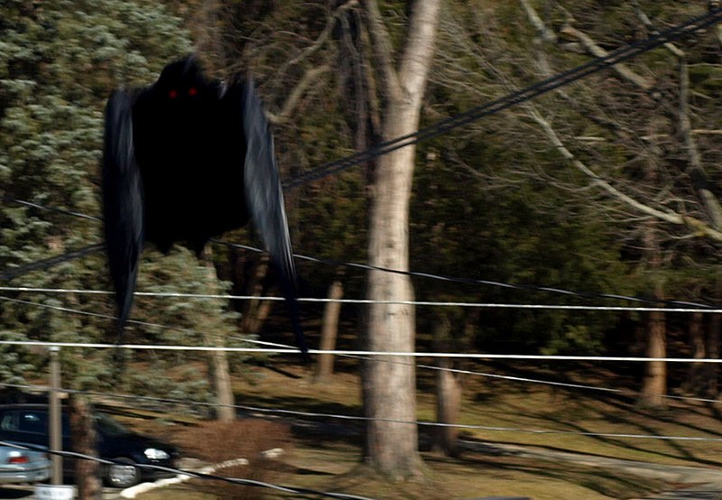 800Px-Mothman (Cropped)