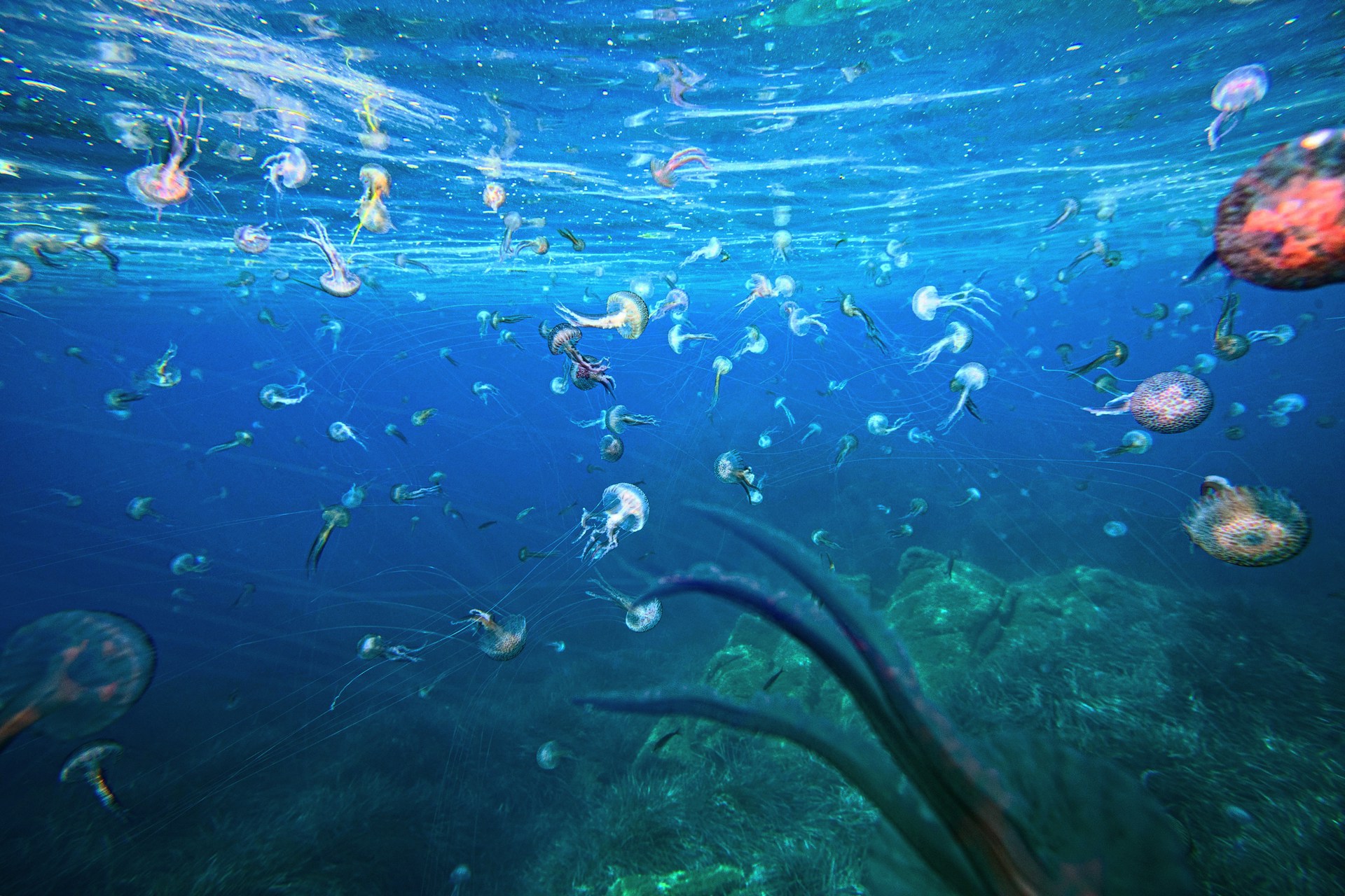 Jake-Houglum-Gt1Aimurm5A-Unsplash