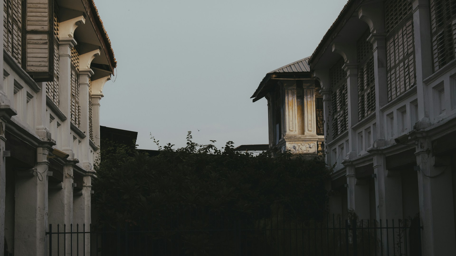 Zhen-Hao-Chu-Wauatoxeb3M-Unsplash