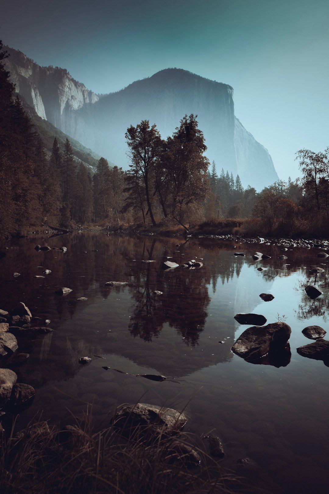 a body of water surrounded by trees and rocks