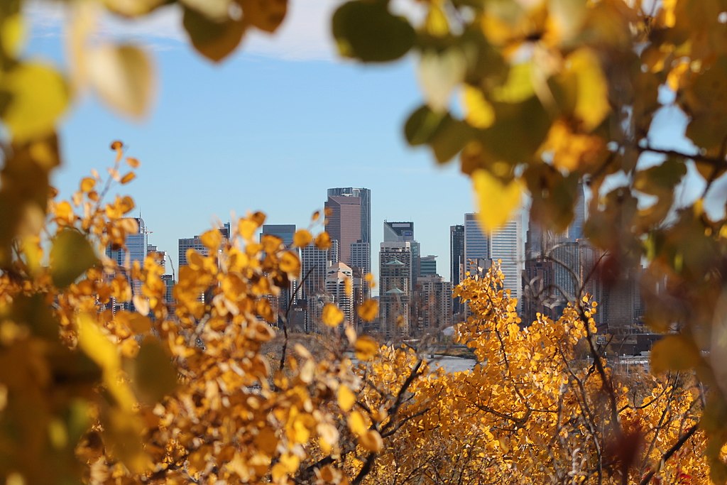 1024Px-The City Of Calgary From A Different Spot. (15344143457)