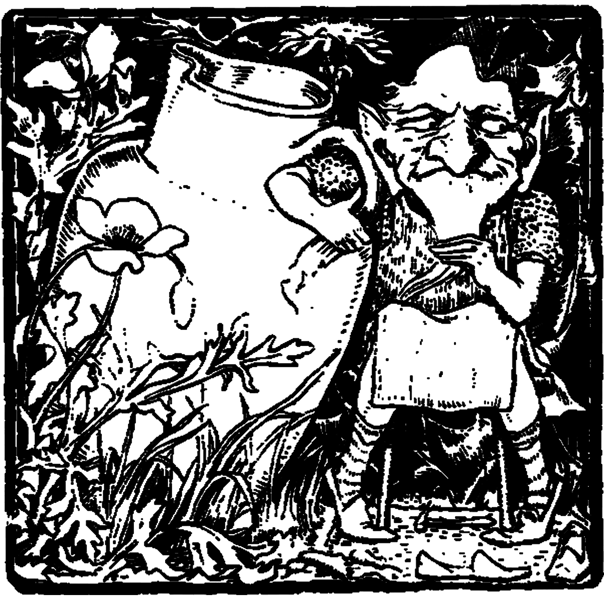 File:Leprechaun or Clurichaun.png