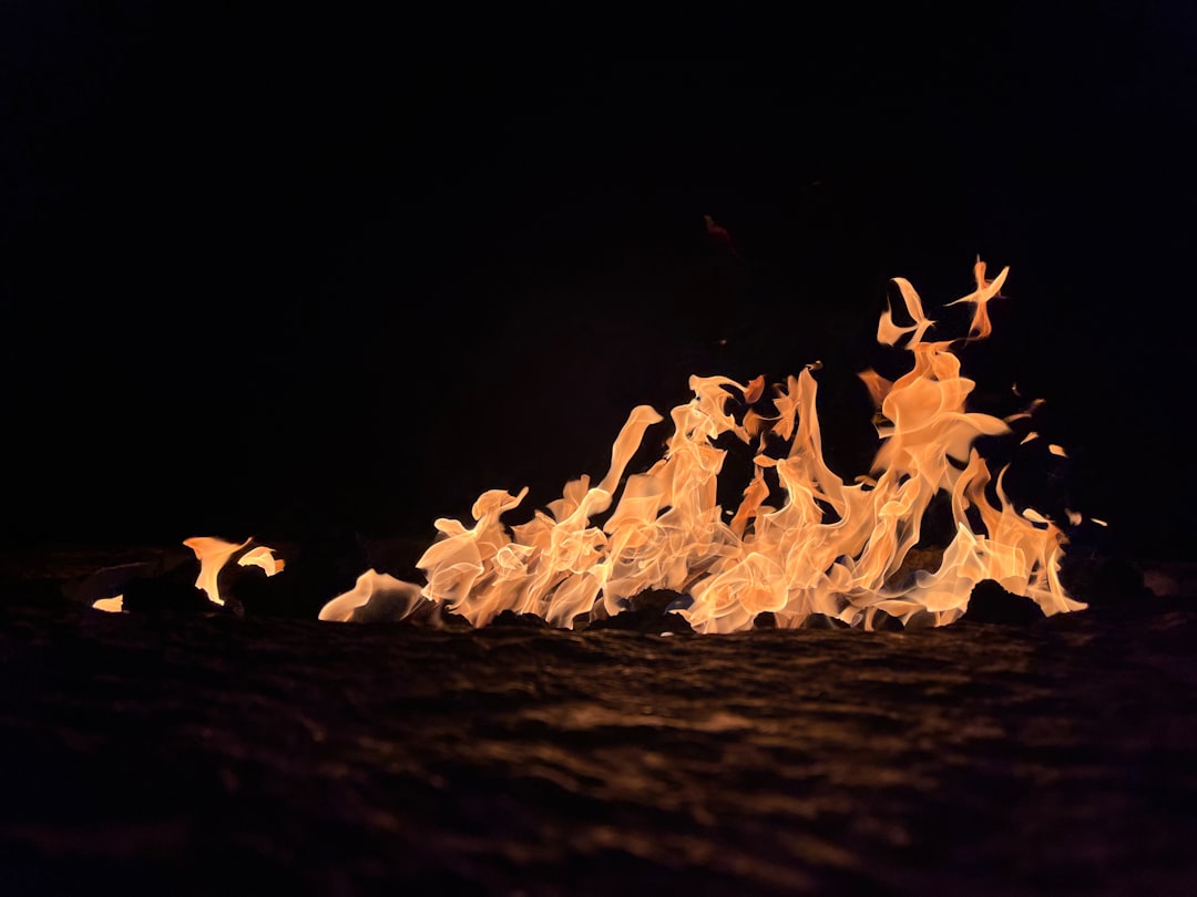 a group of birds flying over a fire