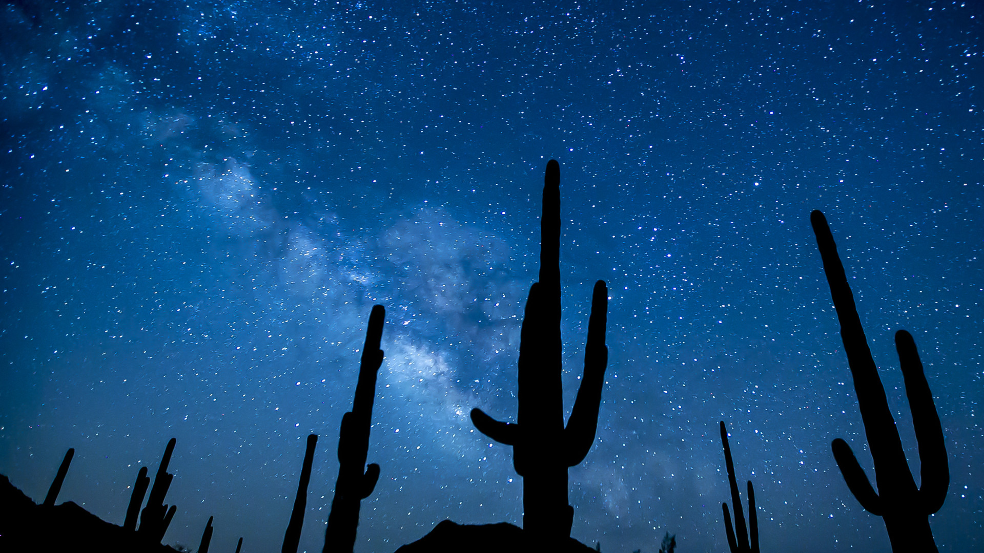 File:February -conservationlands15 Social Media Takeover- Top 15 Places on National Conservation Lands for Night Sky Viewing (16358796247).jpg