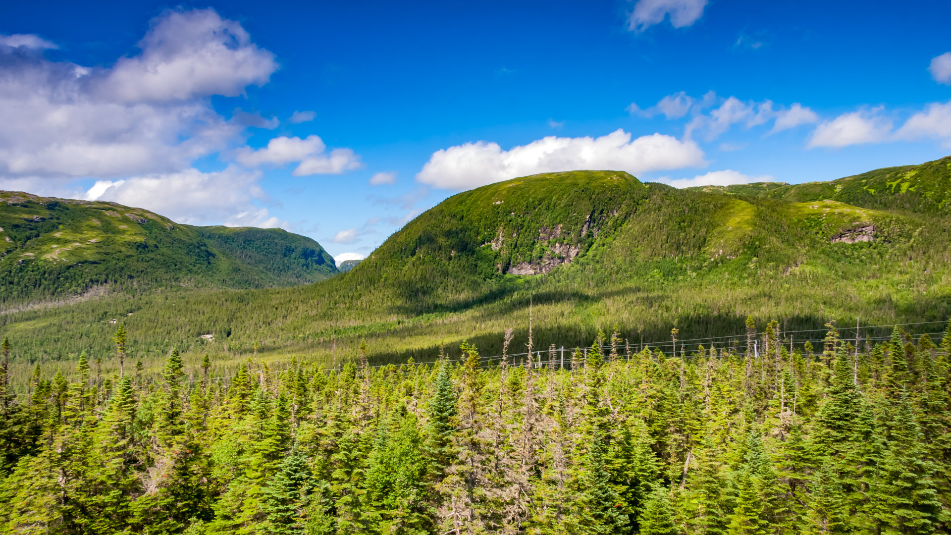 File:National Park Gros Morne Newfoundland (40651070624).jpg