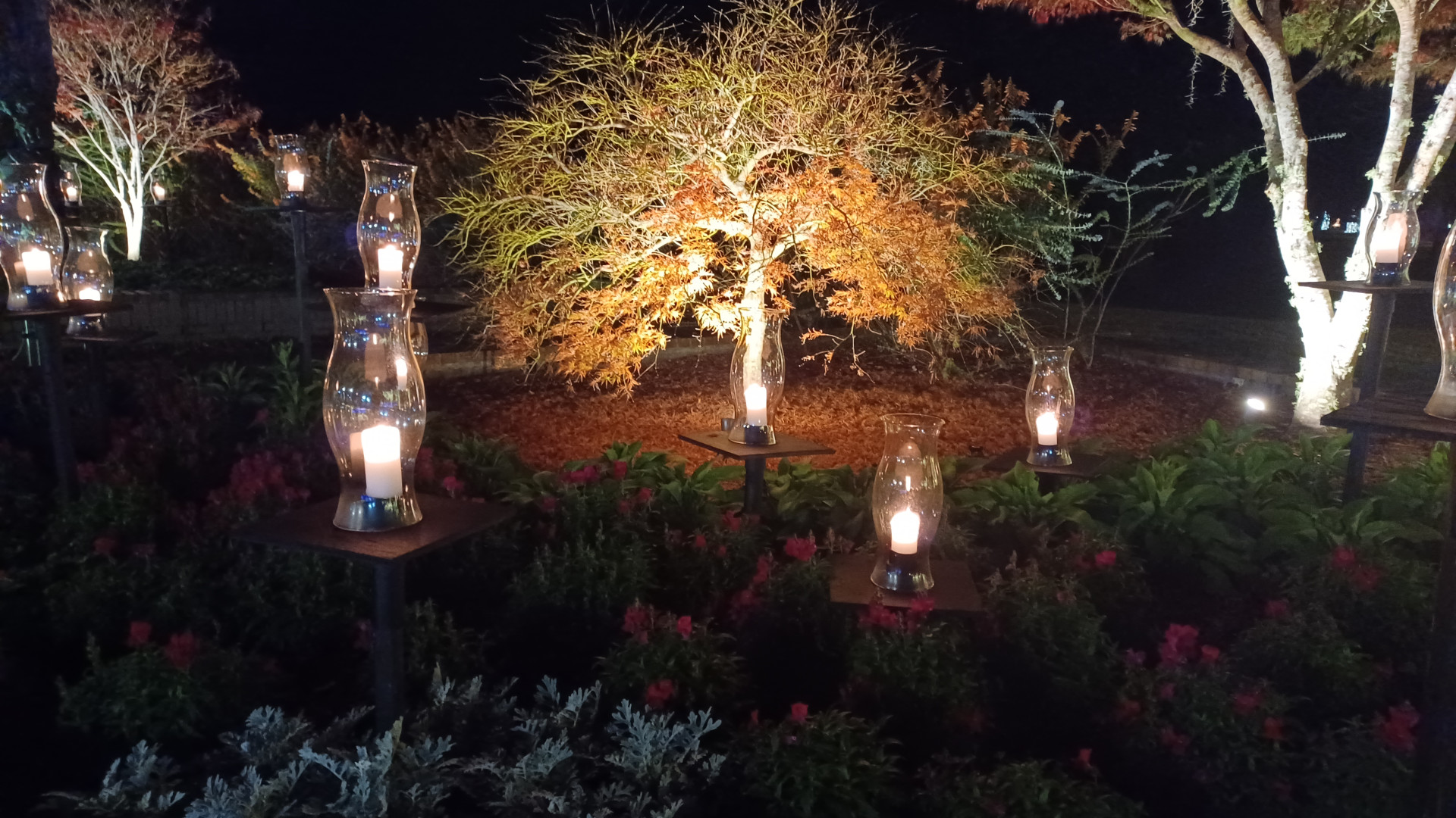 File:Brookgreen Gardens