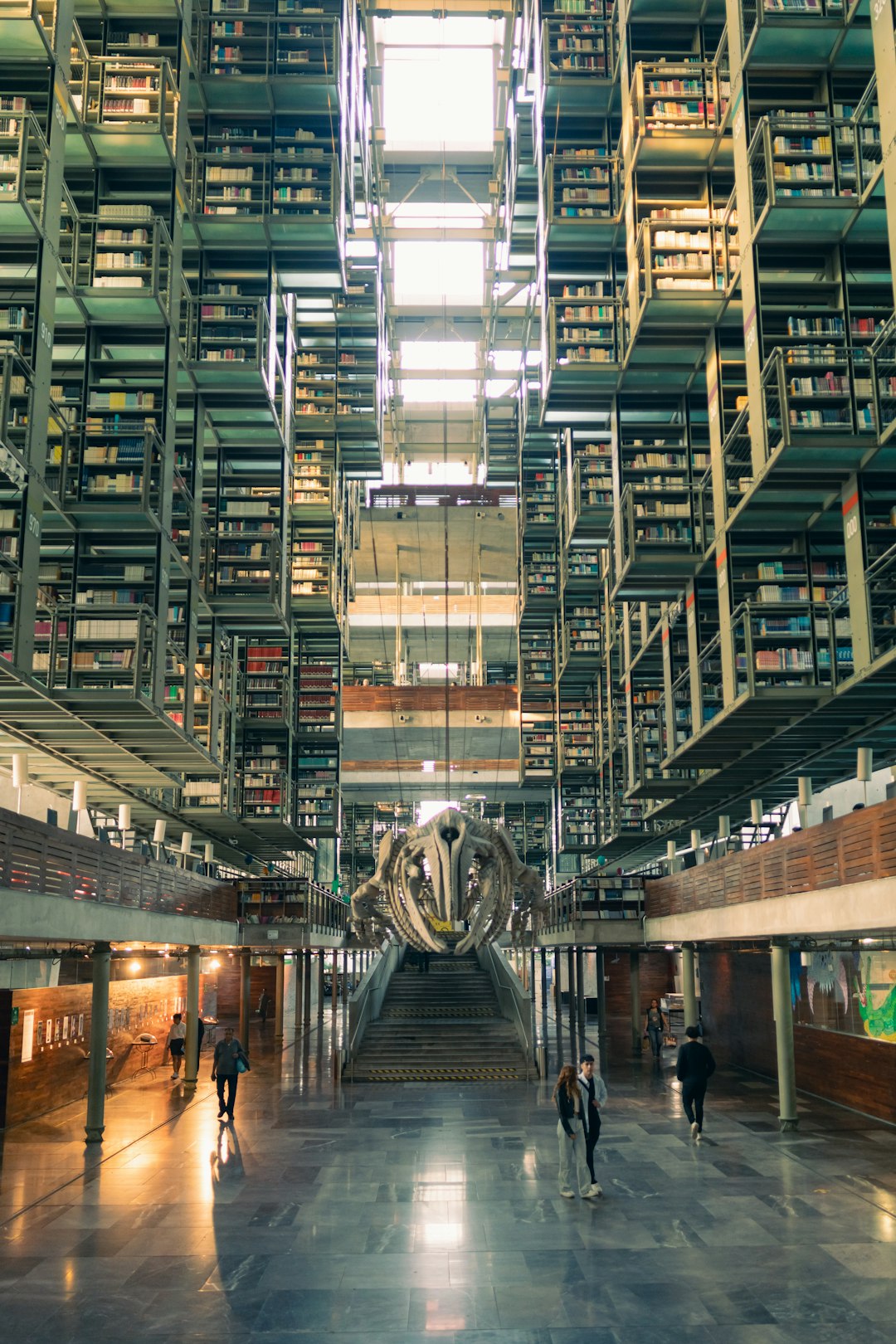 A large library filled with lots of books