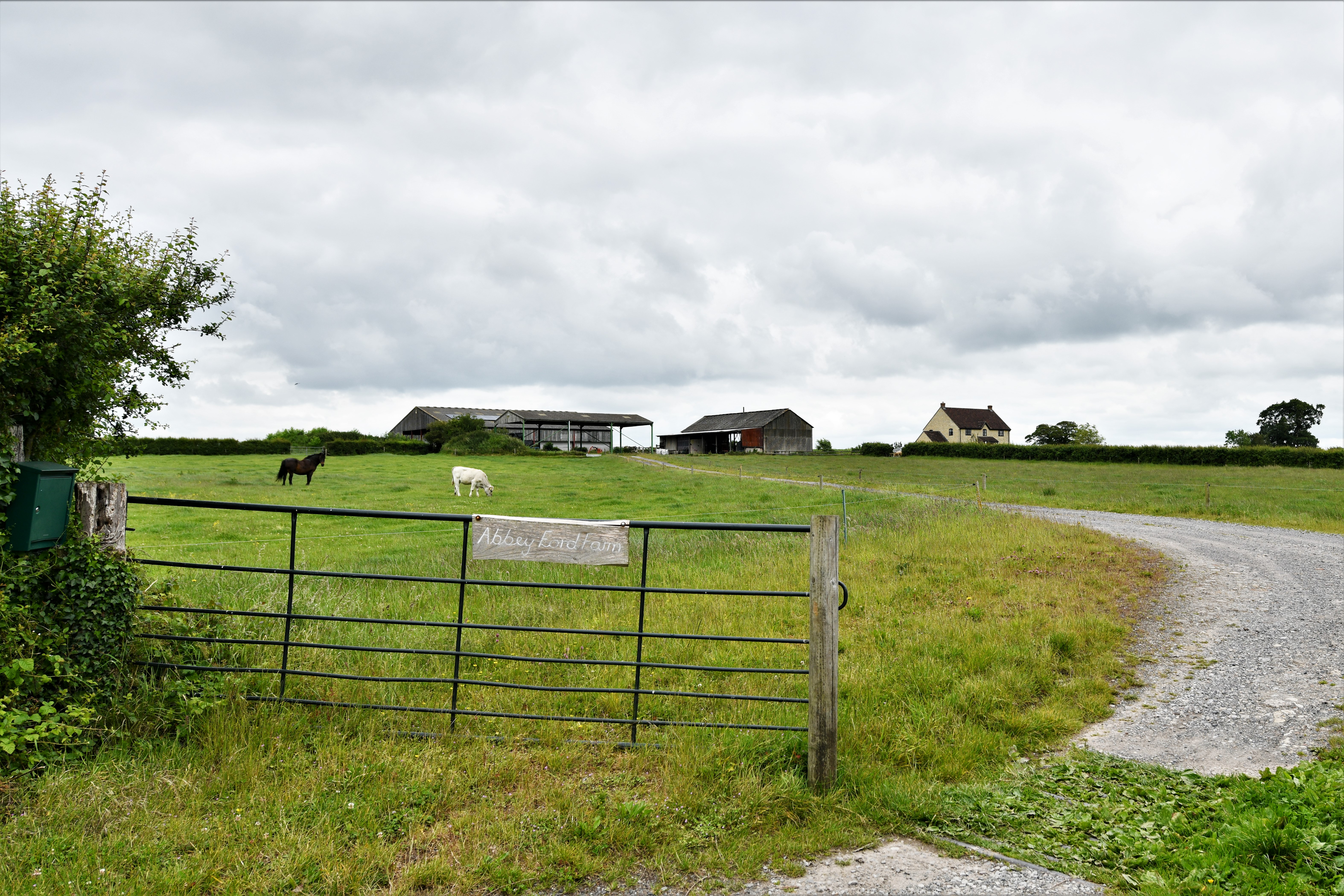 File:Buckhorn Weston, Abbey Ford Farm - geograph.org.uk - 6200477.jpg