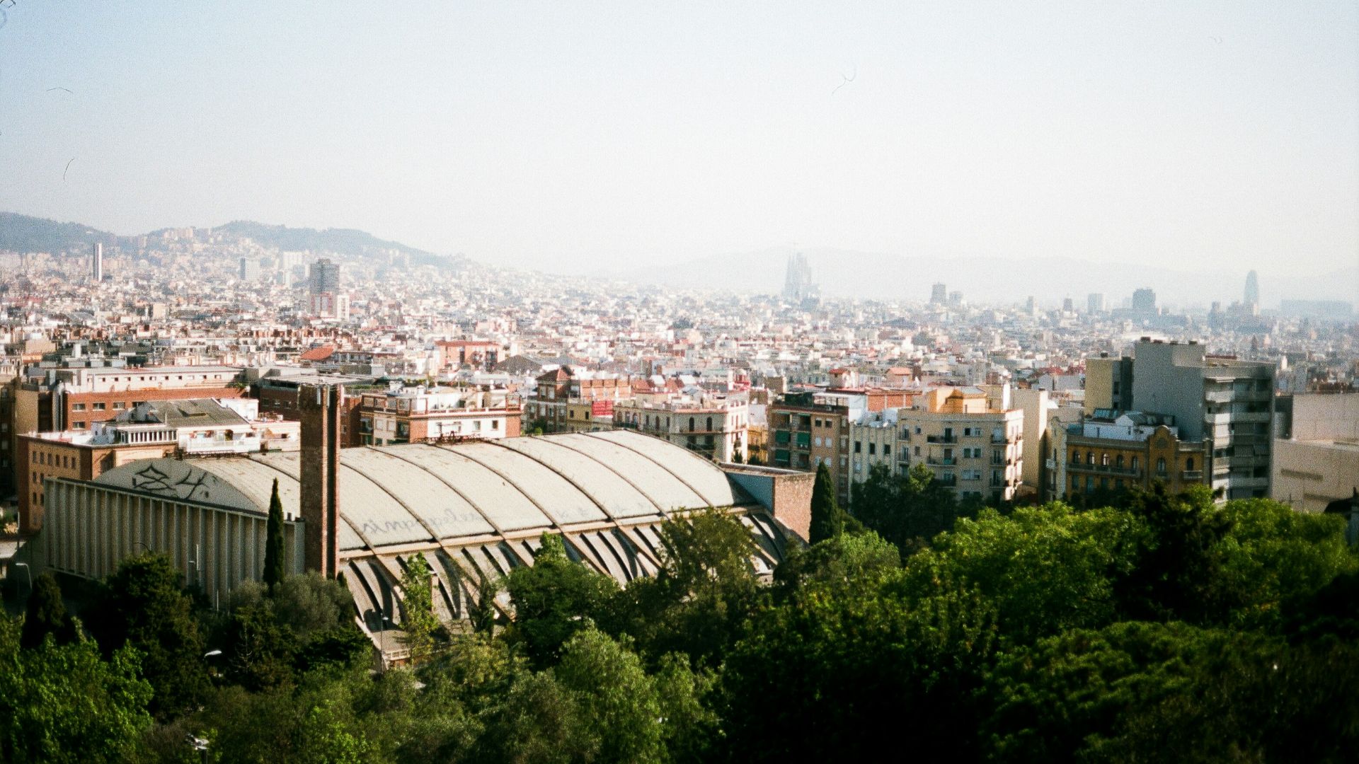 A view of a city from a hill