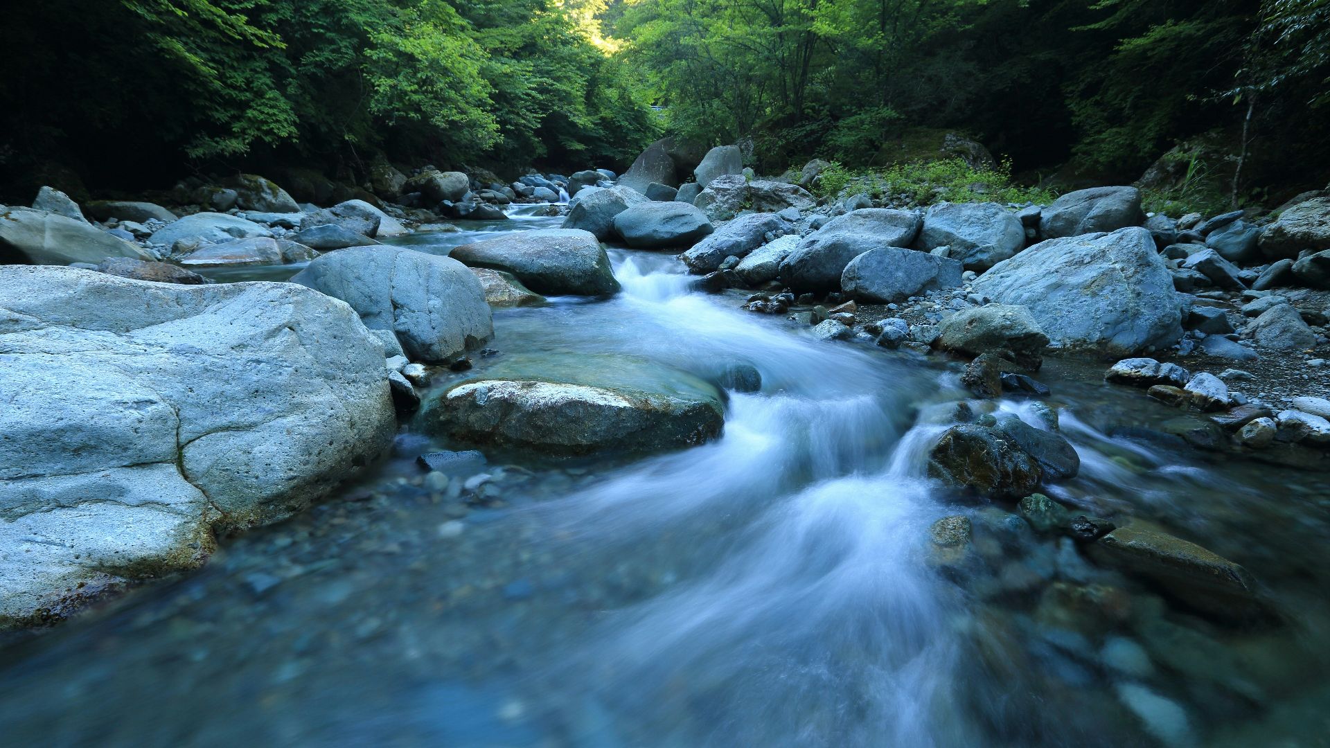 body river surrounded by dress