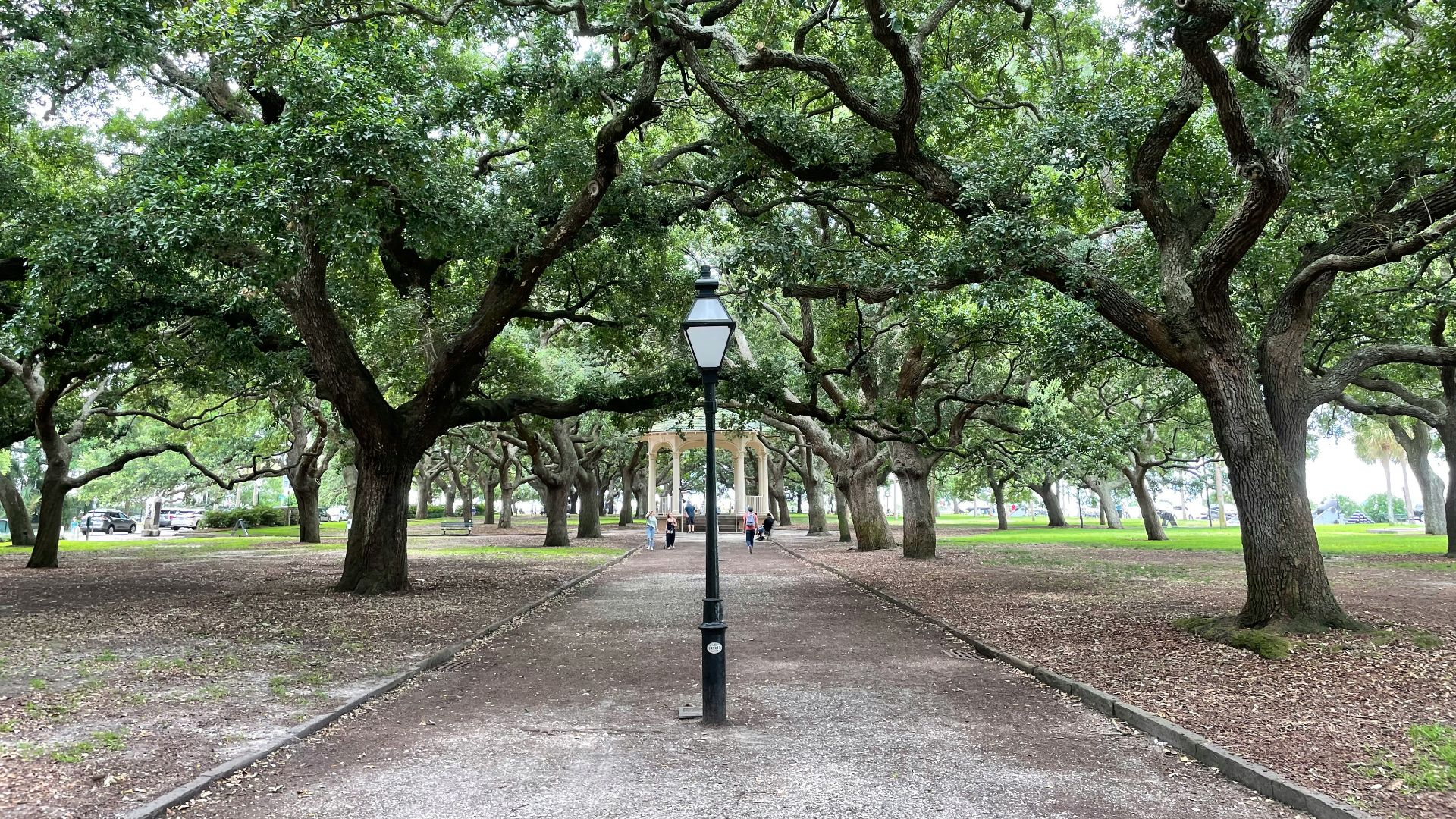 black street light near green trees during daytime