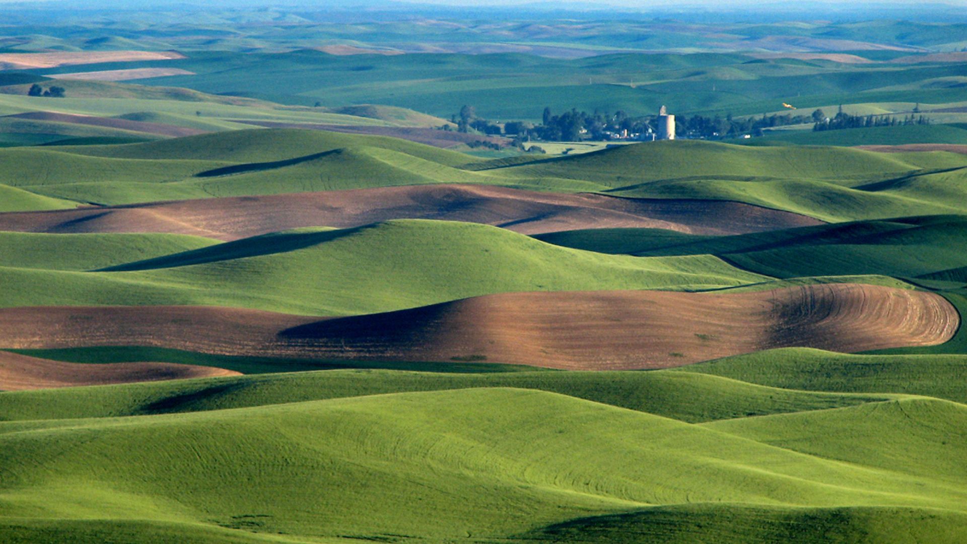 File:Palouse hills northeast of Walla Walla.jpg