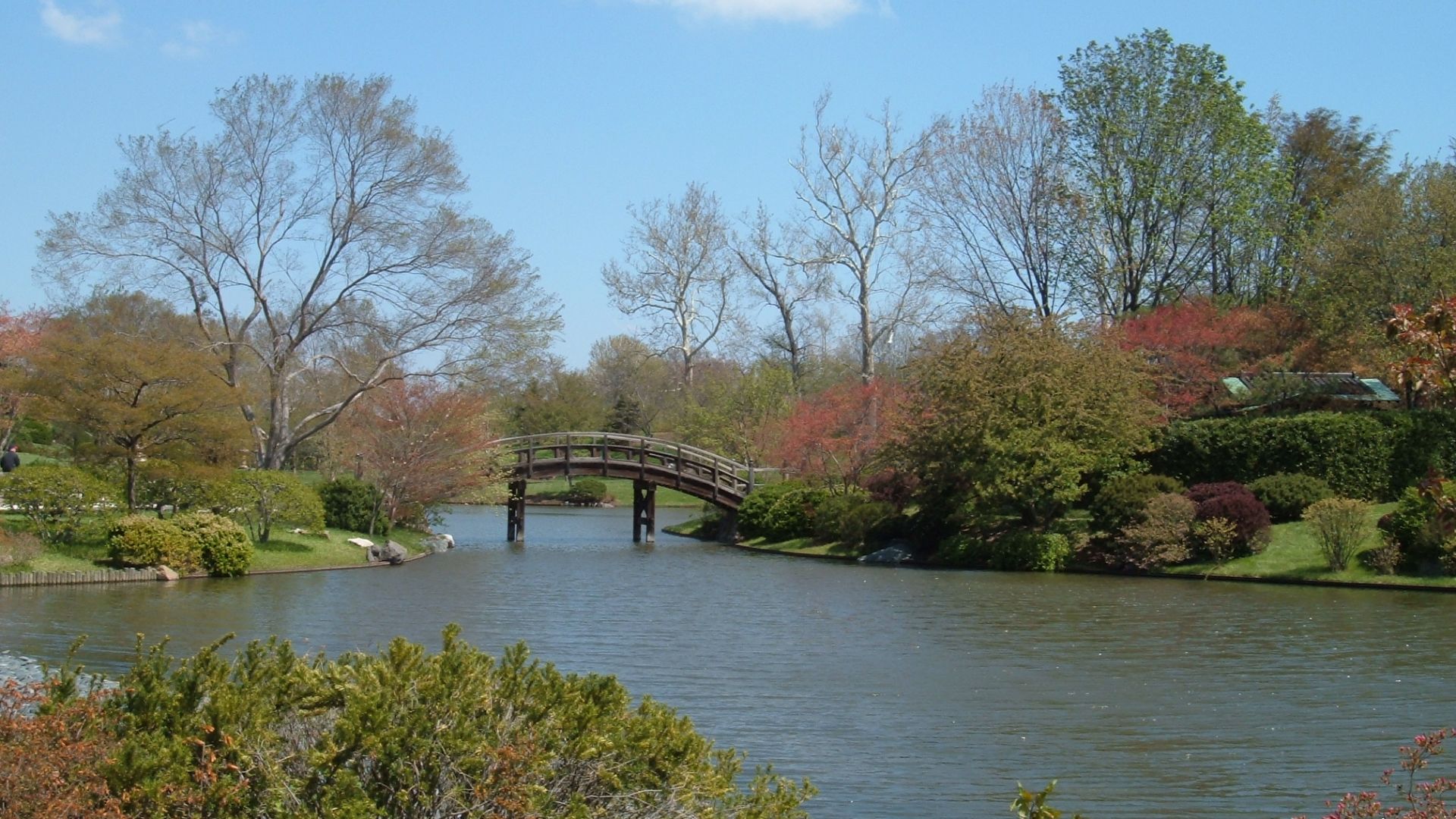File:St Louis Missouri-Japanese Garden bridge at the Missouri Botanical Gardens-20070415115116.jpg