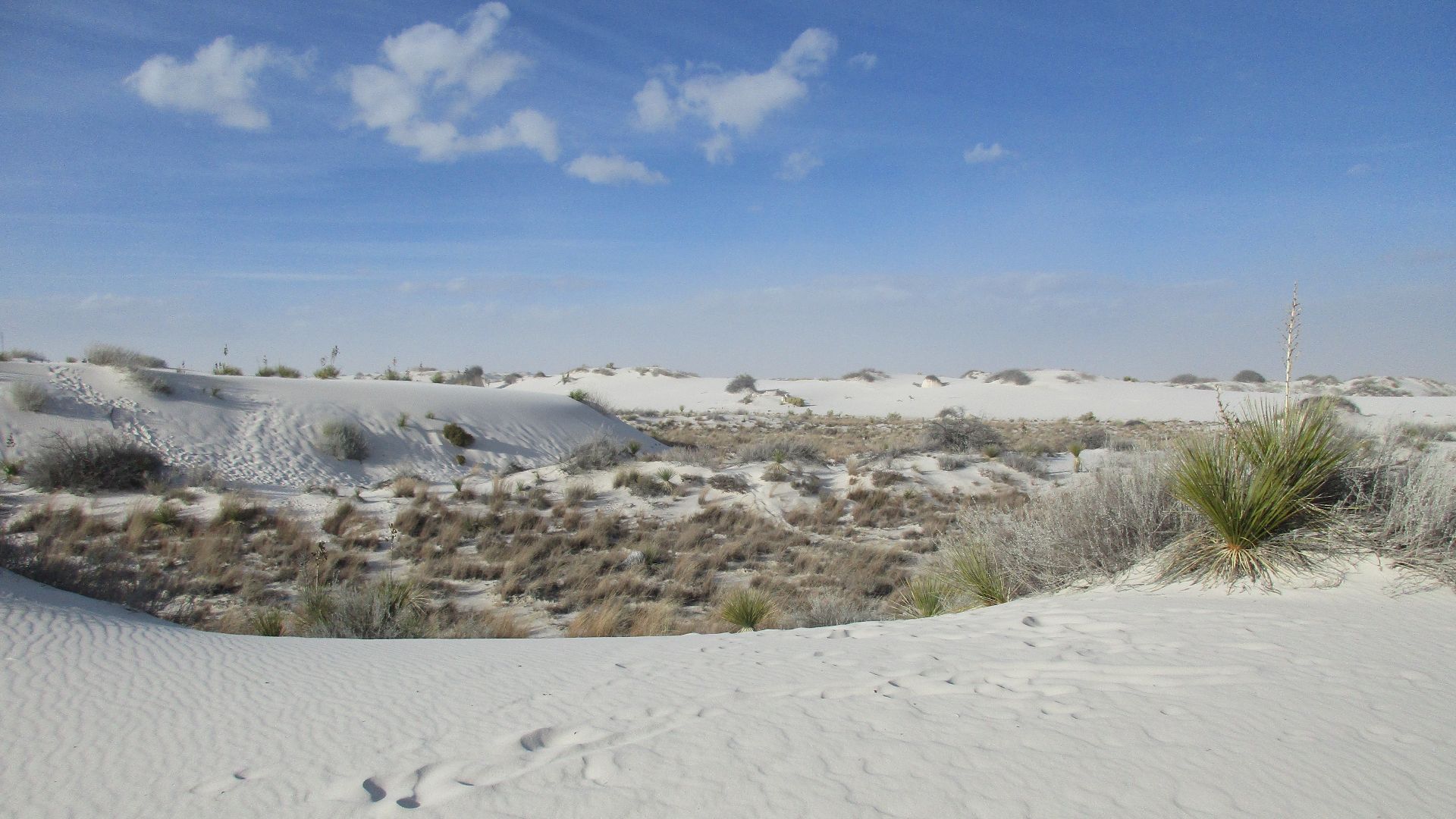 File:White Sands National Monument - 44564131970.jpg