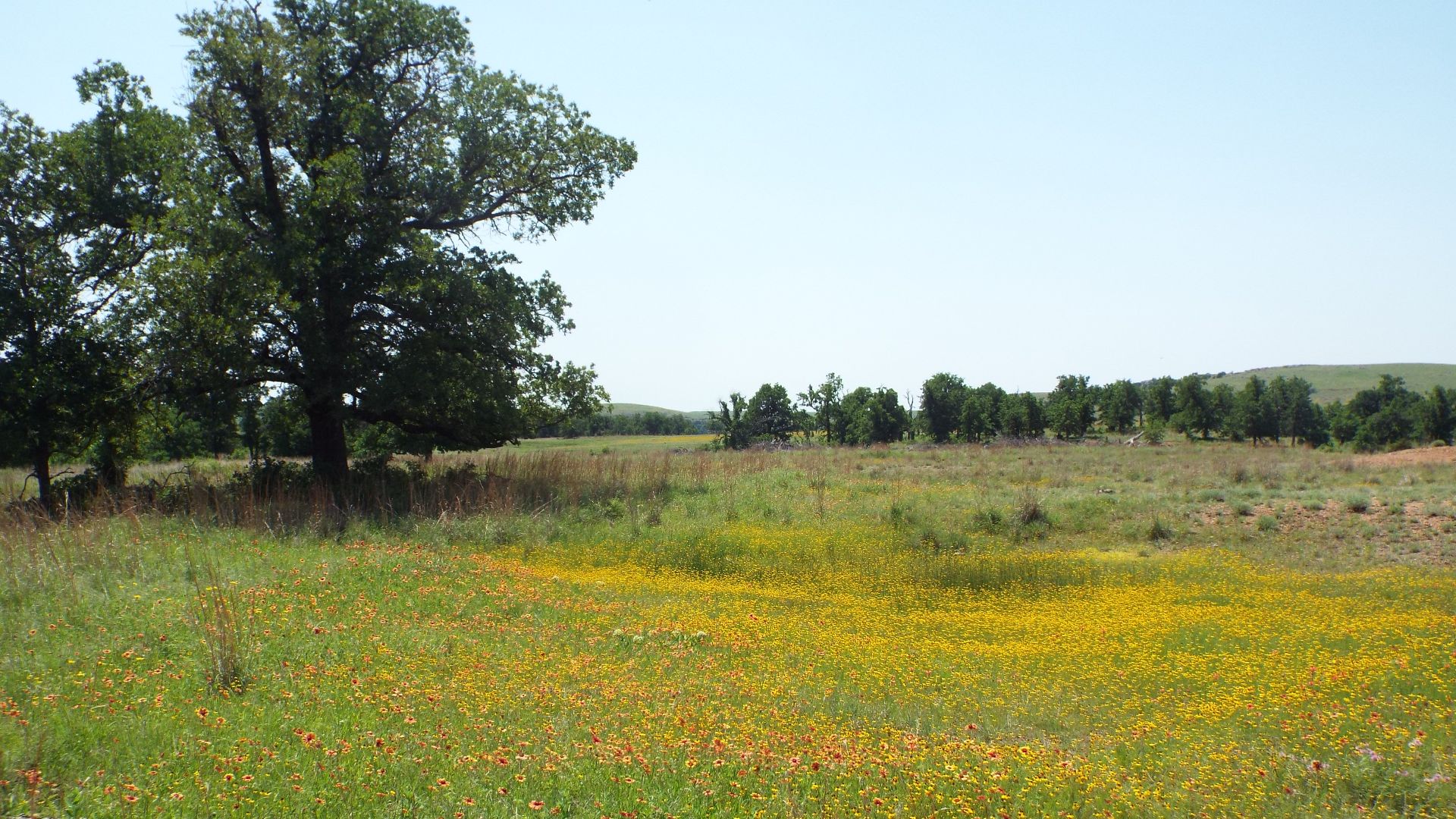 File:Wichita Mountains Wildlife Refuge, May 14, 2022 - 52074372179.jpg