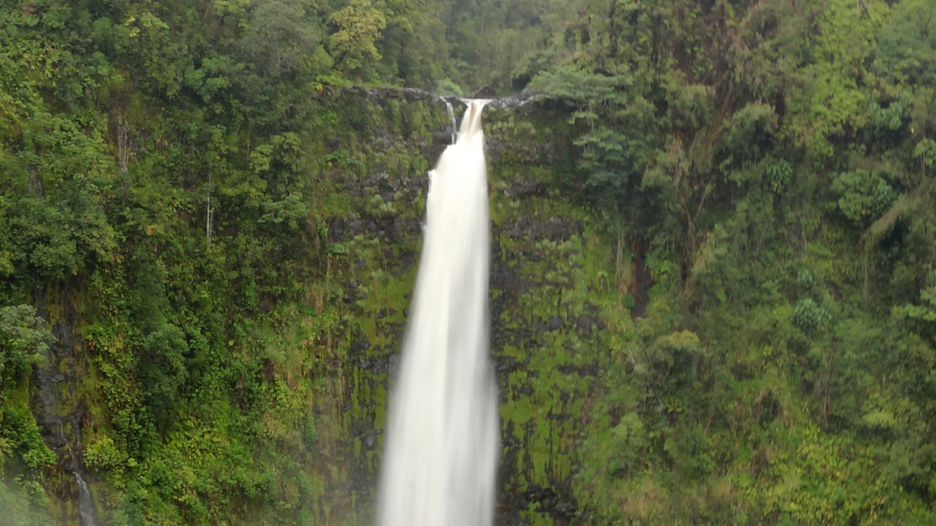 File:Akaka Falls, Akaka Falls State Park, Pepeekeo - panoramio (1).jpg