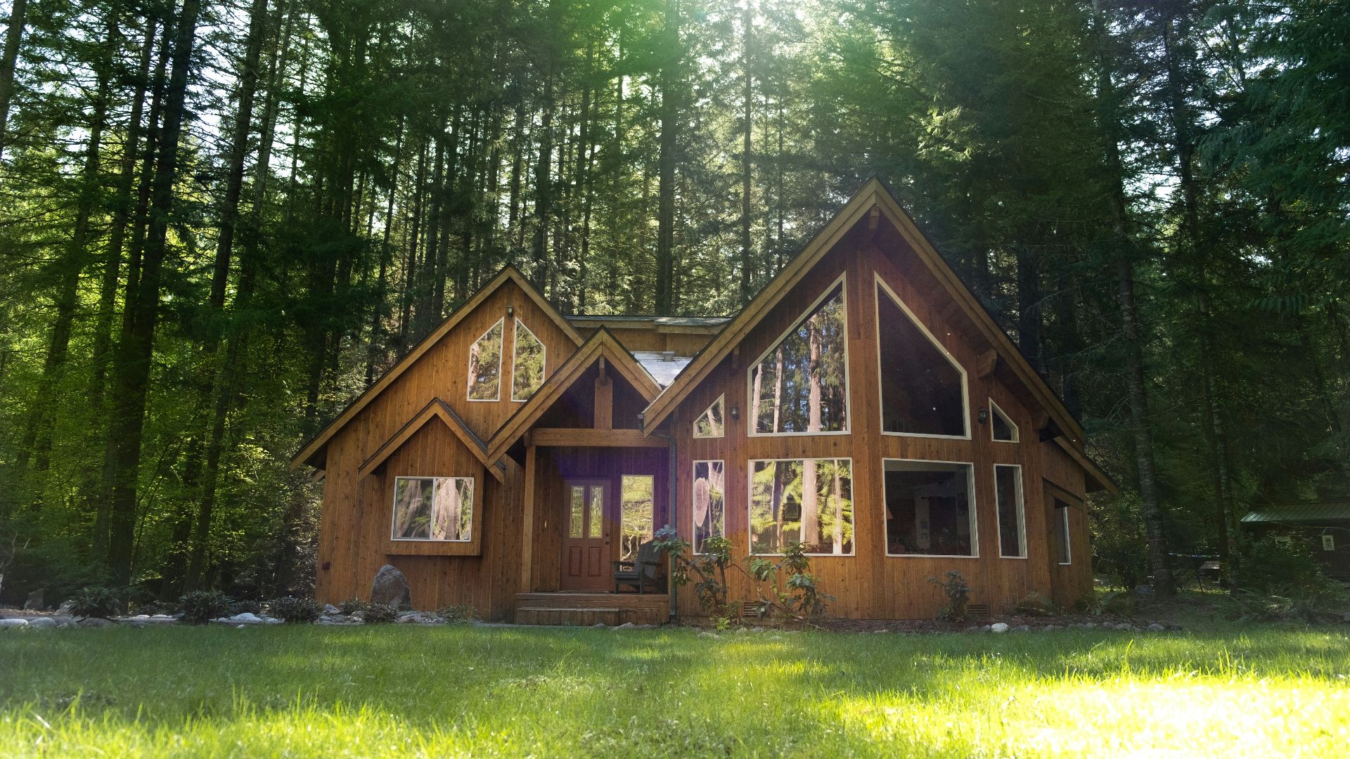 brown wooden house in the middle of forest during daytime