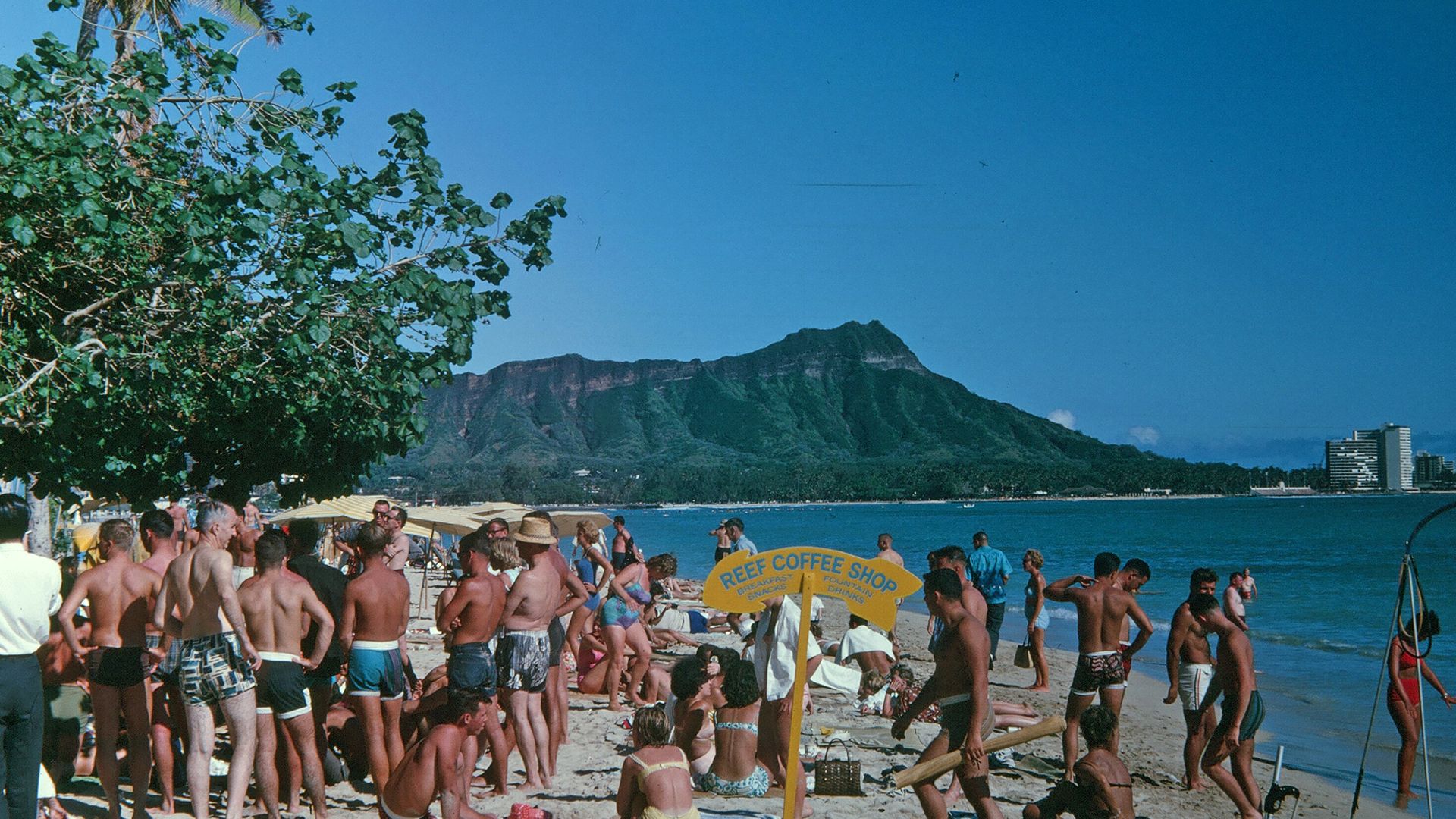 people at the beach during day