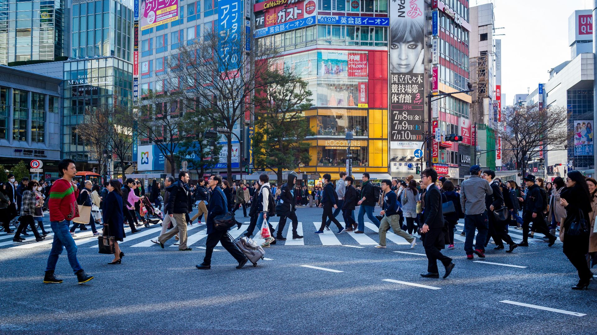 group of person on street