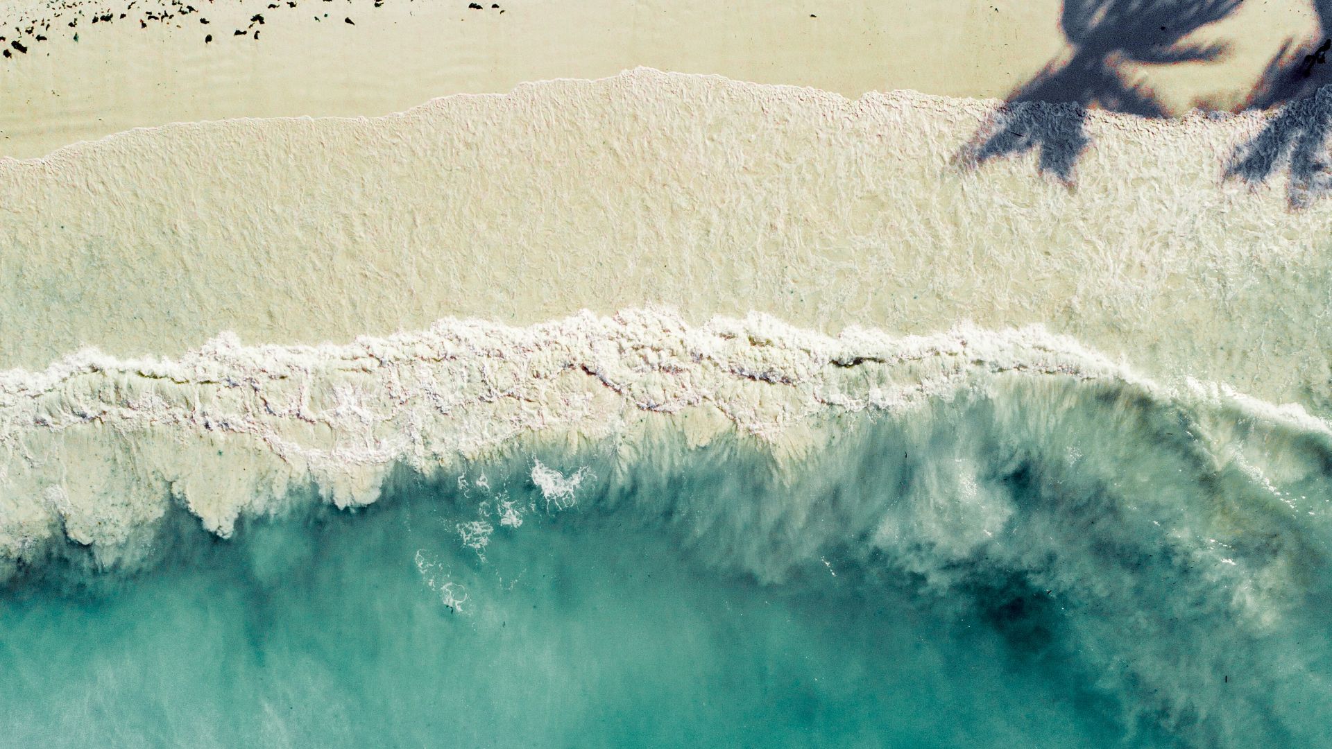aerial photography of sea shore