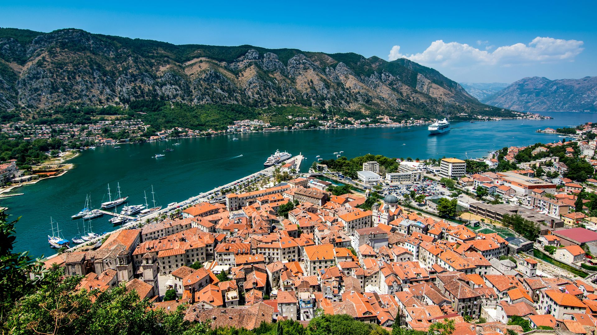 houses near body of water during daytime