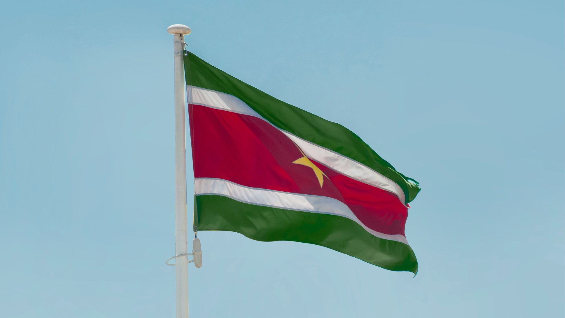 a flag on a pole