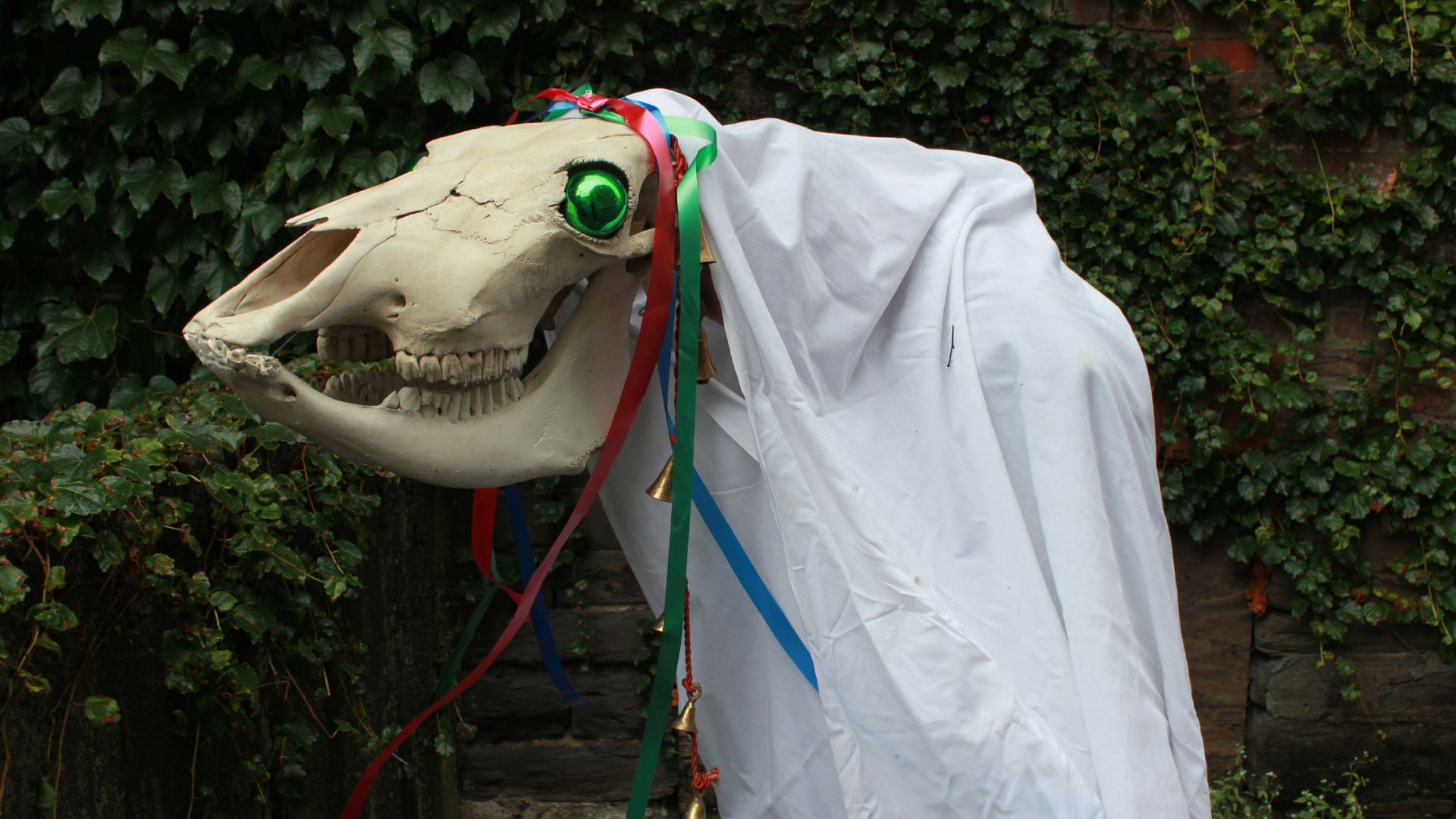 File:Mari Lwyd (wiki).jpg
