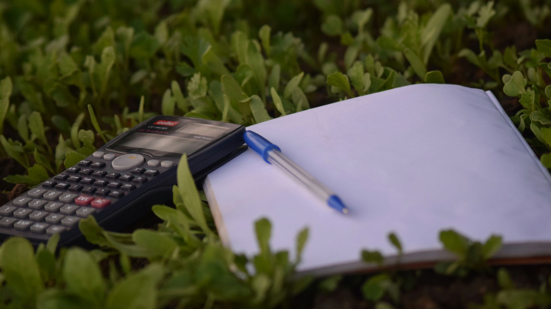 blue ballpoint pen on paper beside calculator