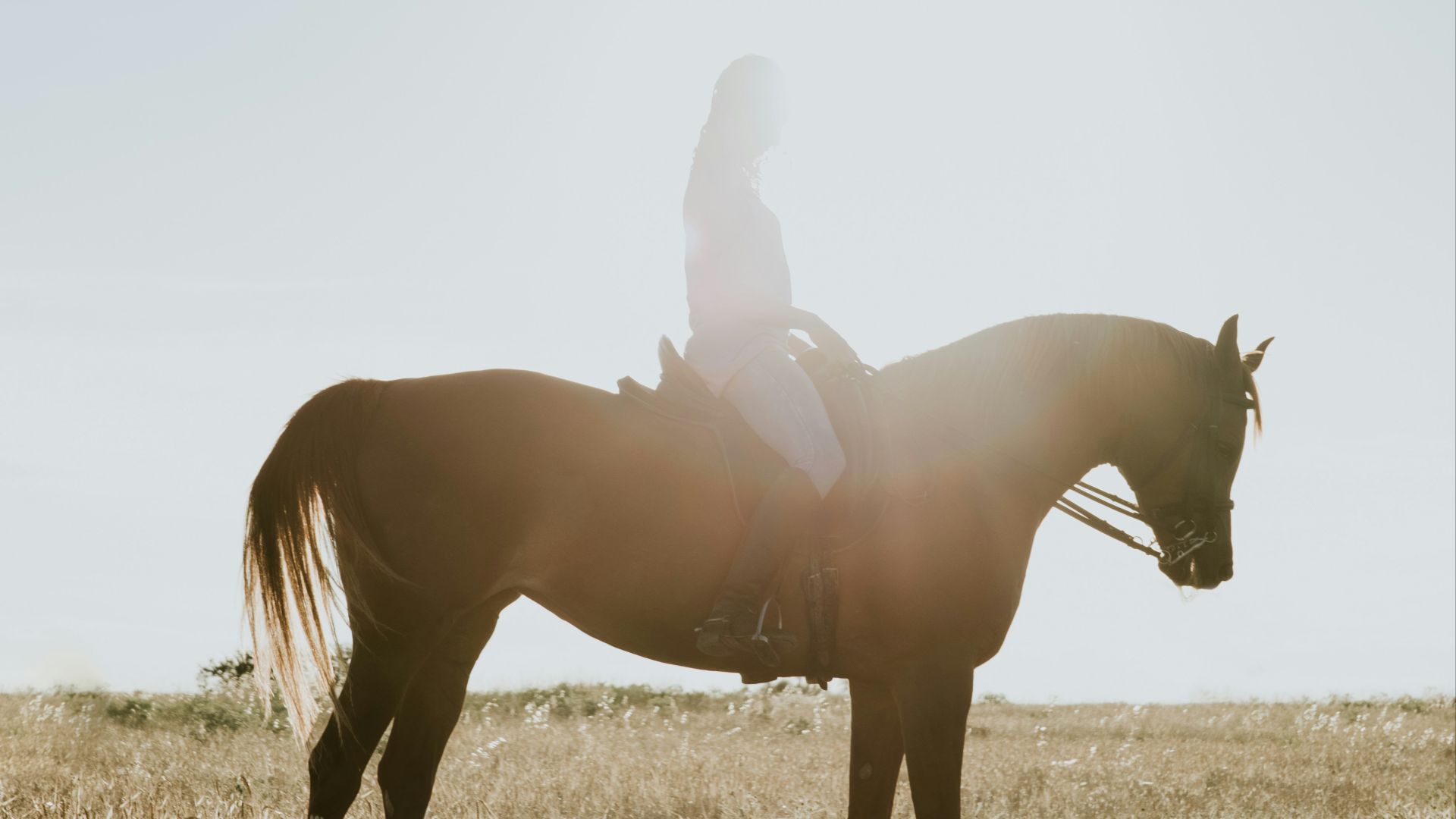 person riding on horse back
