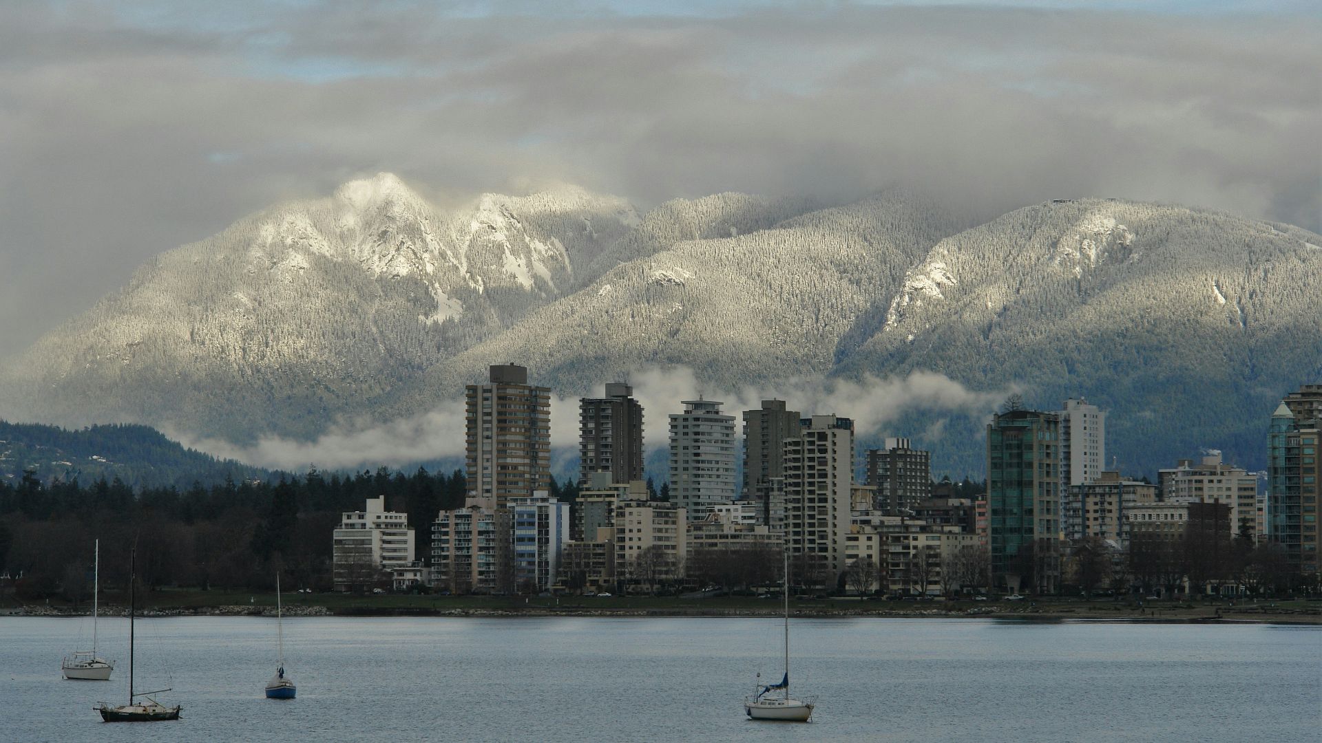 bird's eye view of city skyline