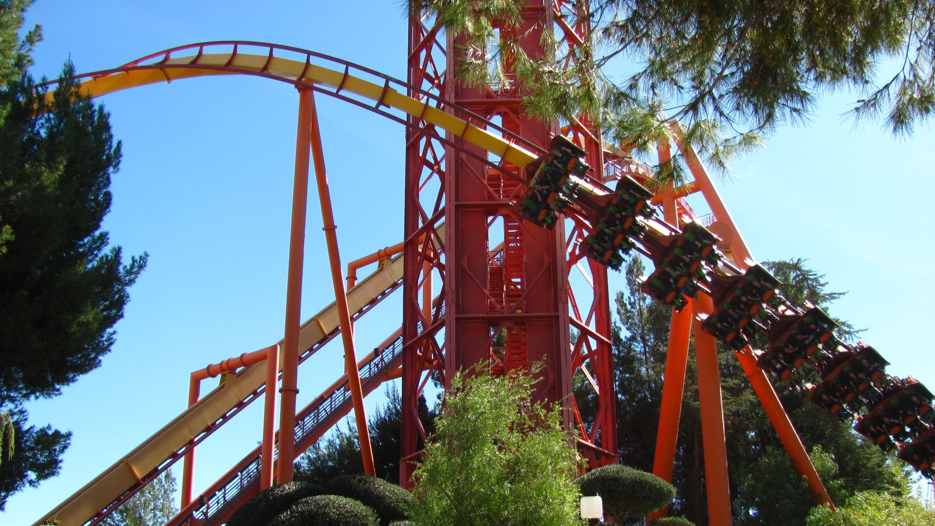 File:Tatsu at Six Flags Magic Mountain (13208623505).jpg