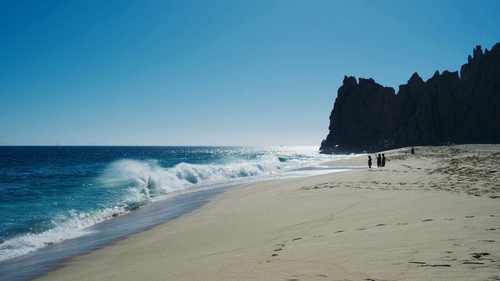 a couple of people walking along a beach next to the ocean