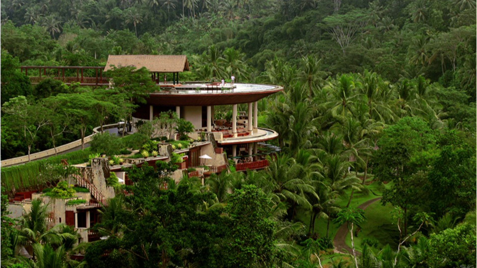 File:Bali Urwald SvG.jpg
