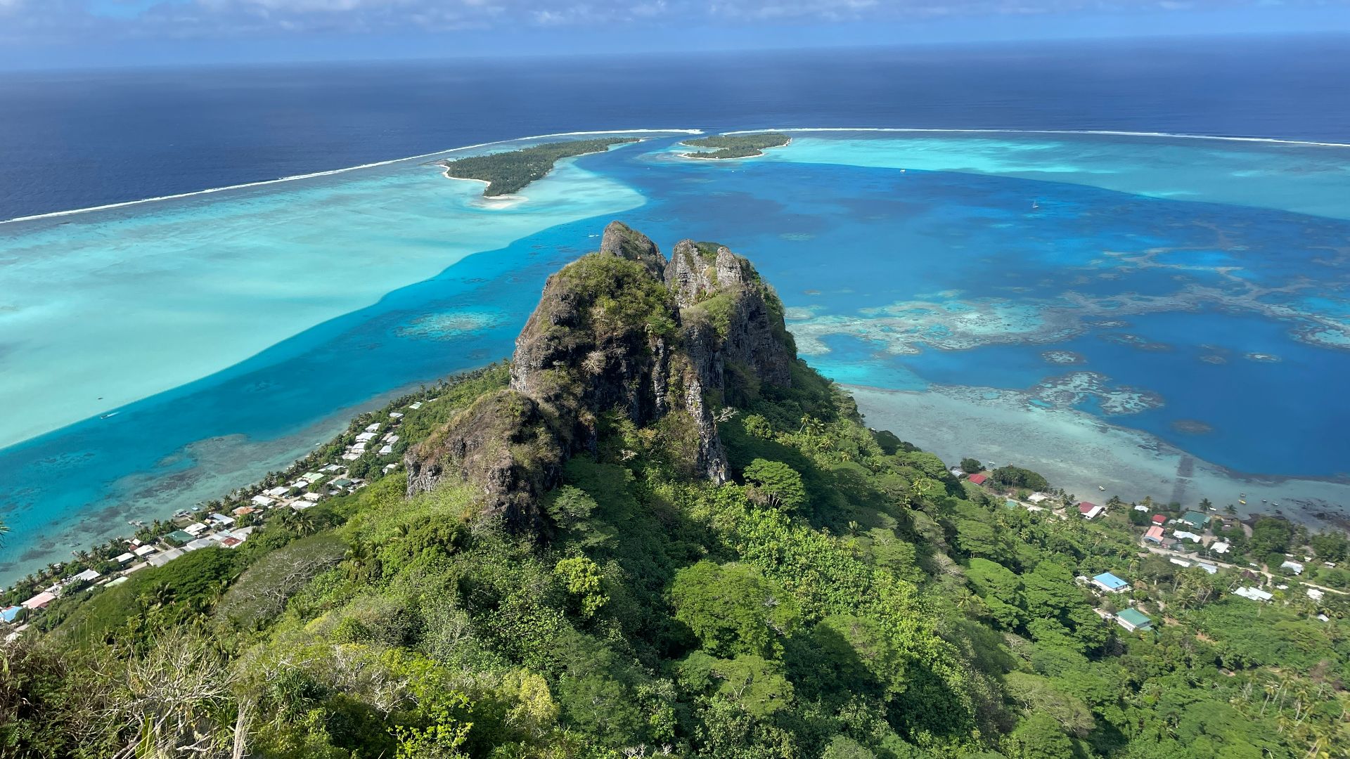 a small island surrounded by water and trees