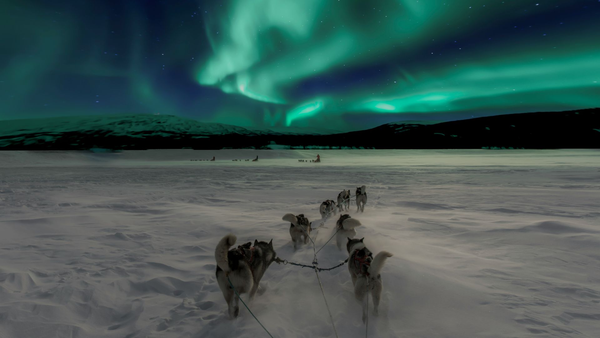 scenery of aurora