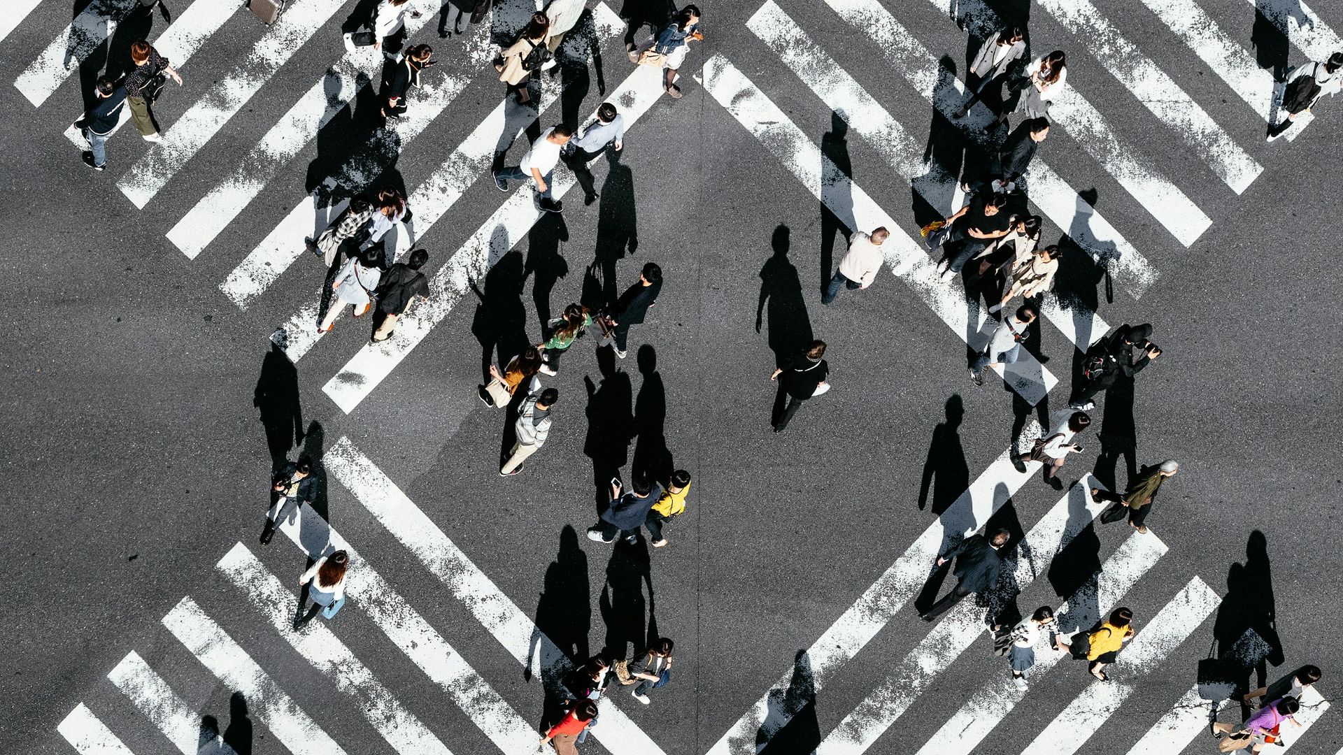 aerial view of people walking on cross pedestrian lane
