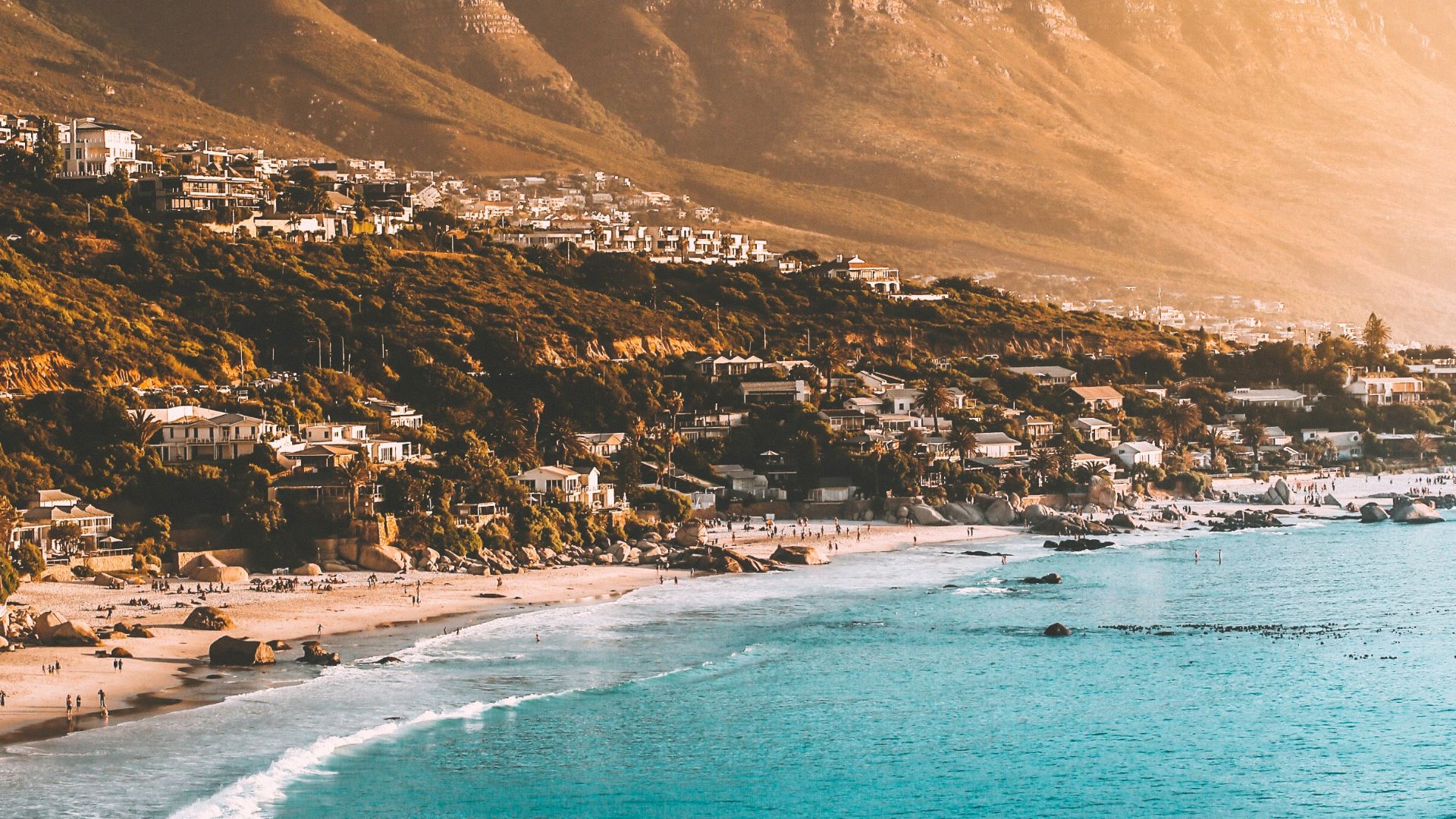 people on beach shore