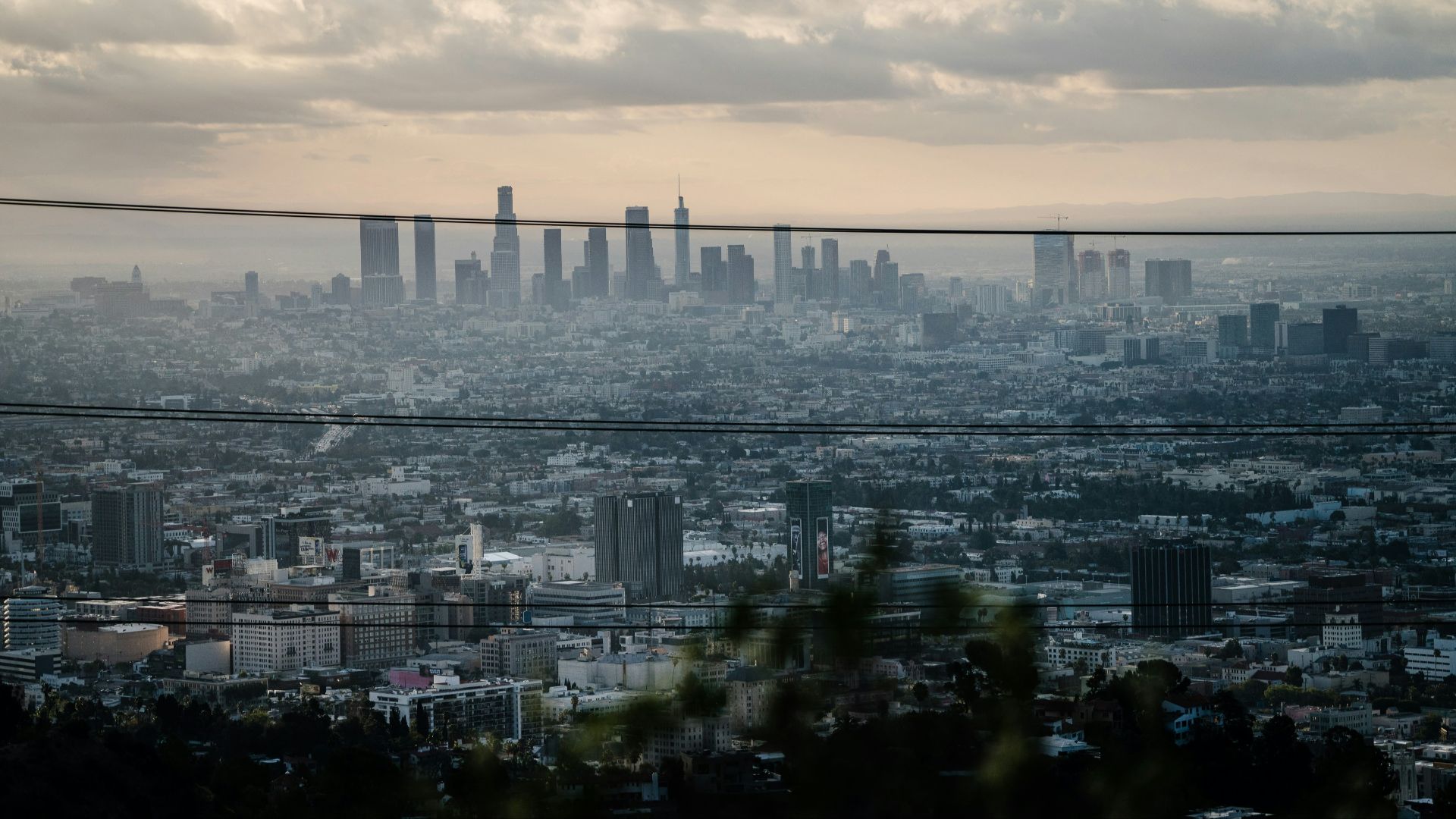 photo of city buildings