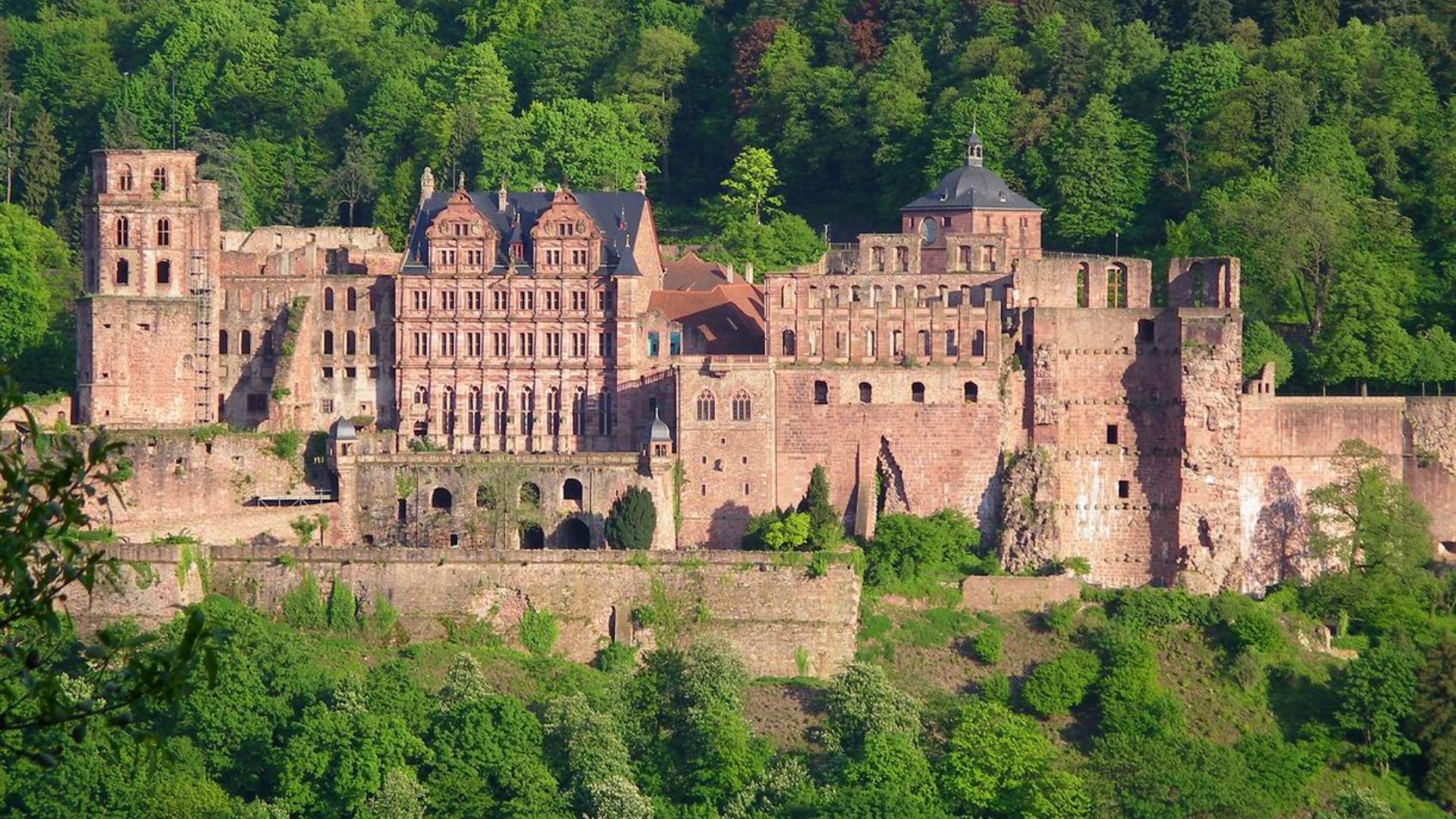 File:Heidelberg-Schloß.JPG