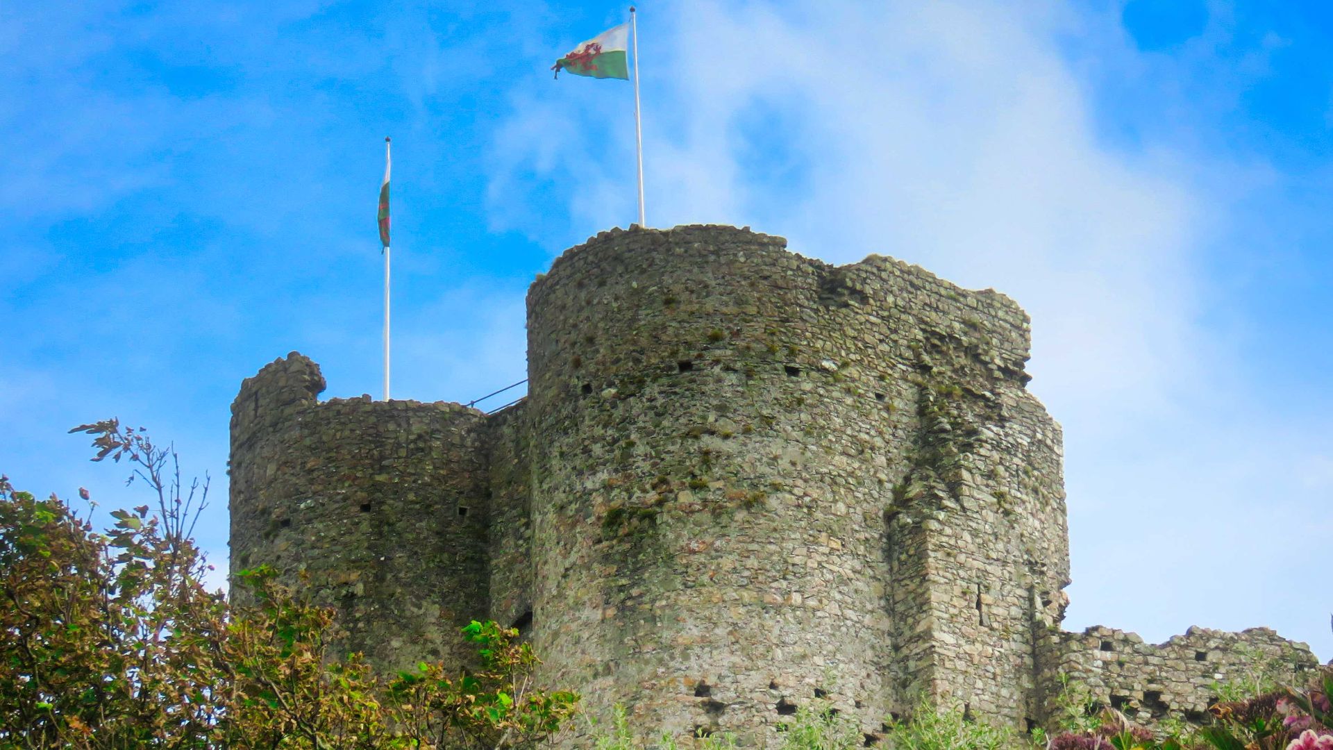 File:Criccieth Castle surrounded by flowers.jpg